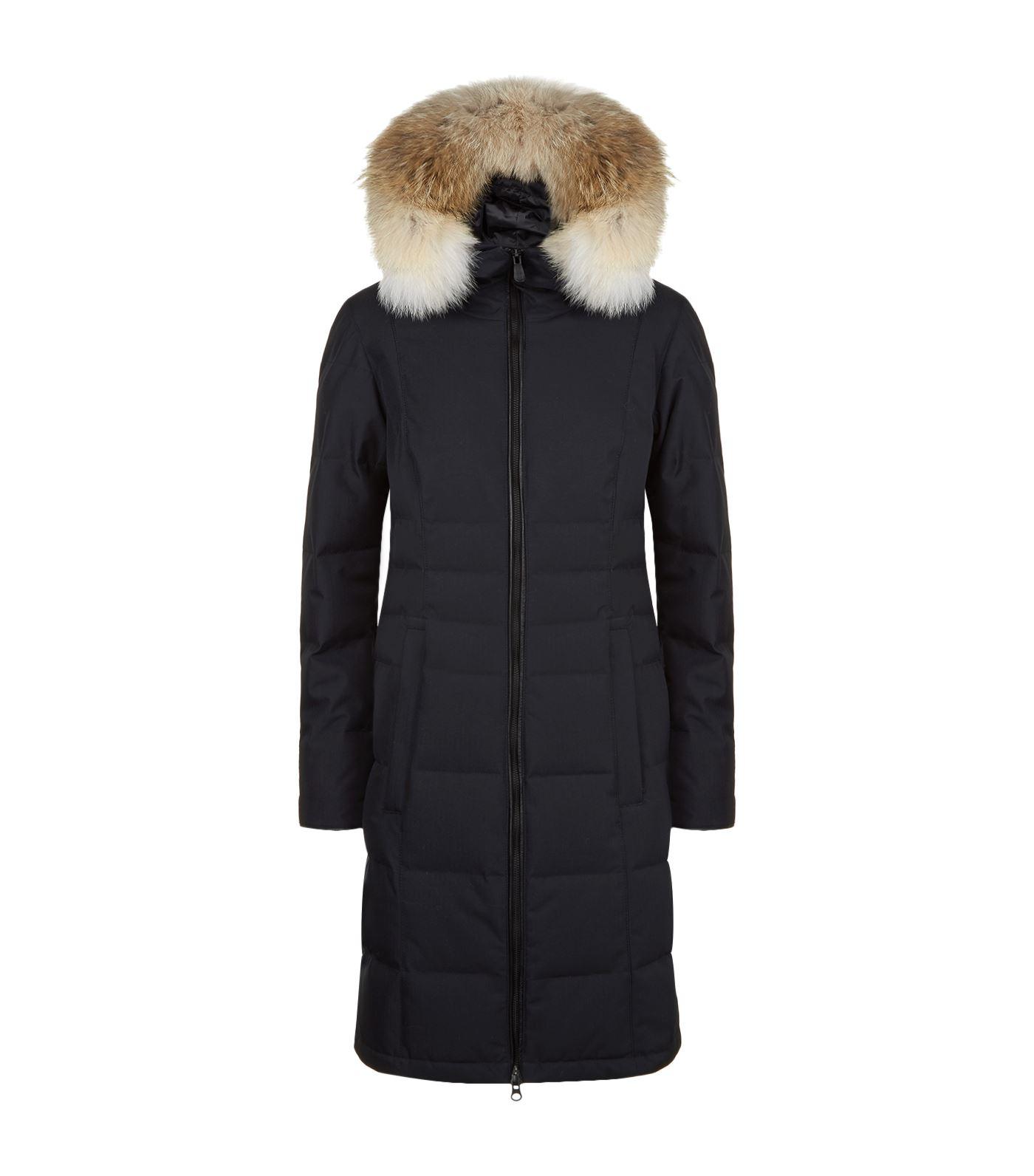 canada goose pembina