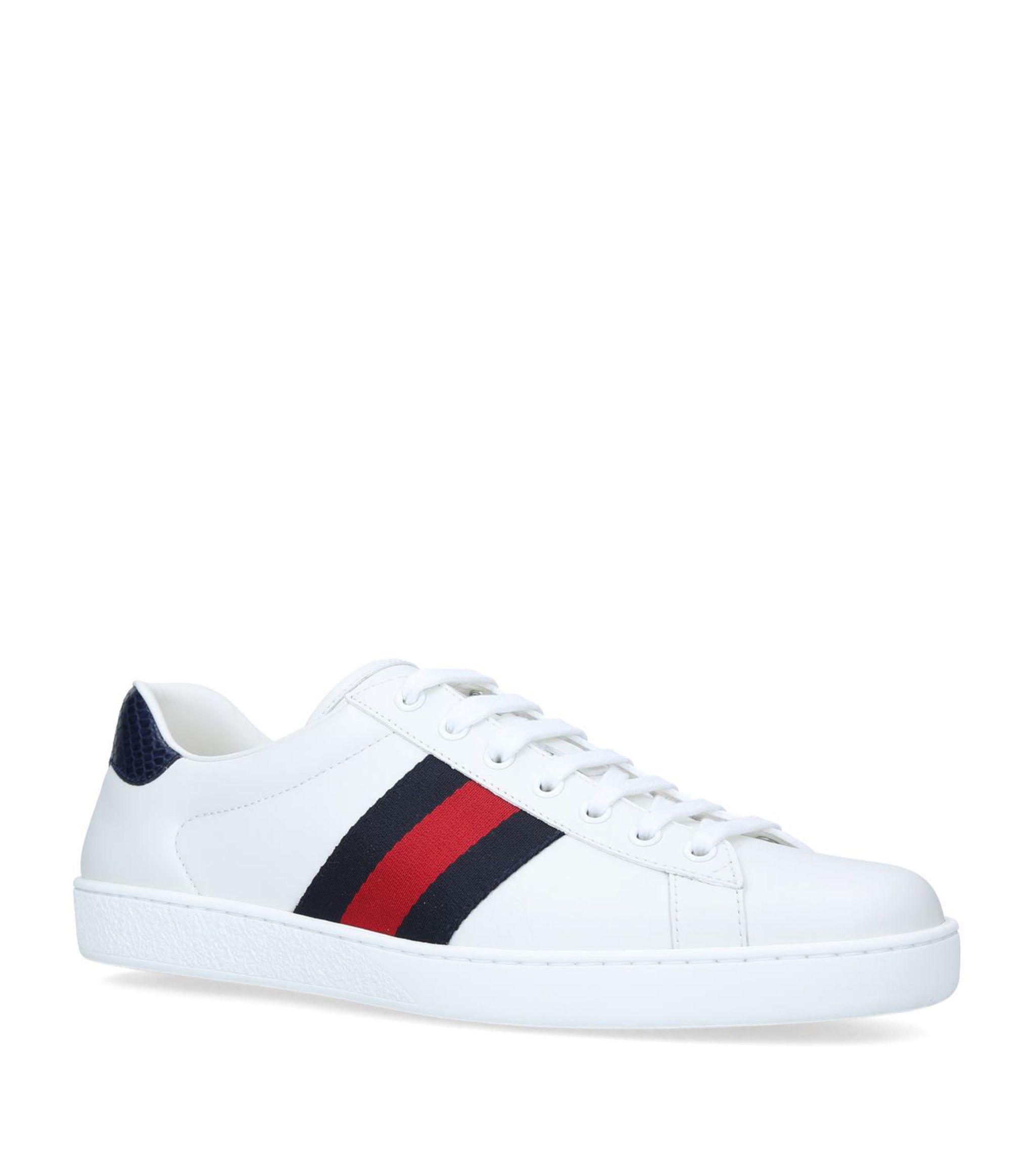 ace leather gucci
