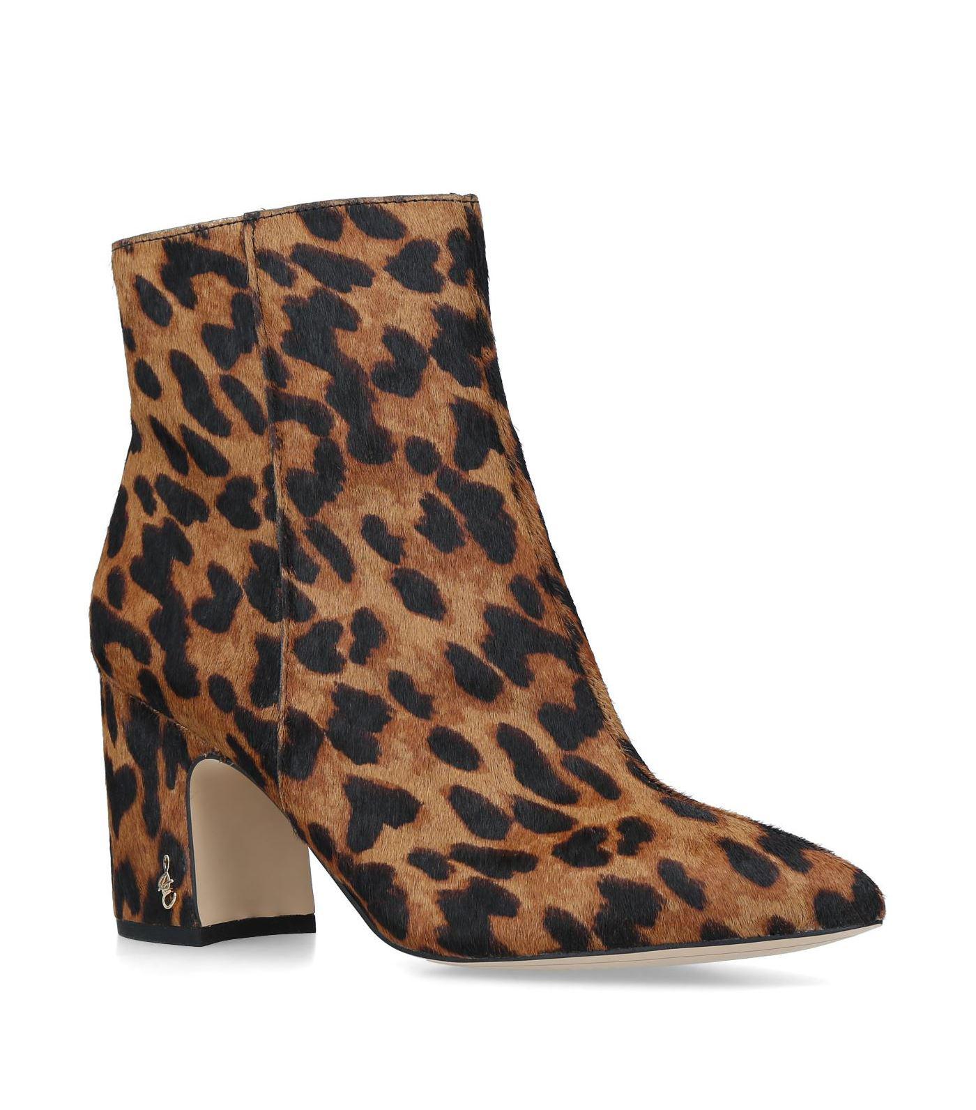 Sam Edelman Leopard Print Hilty Ankle Boots in Brown | Lyst