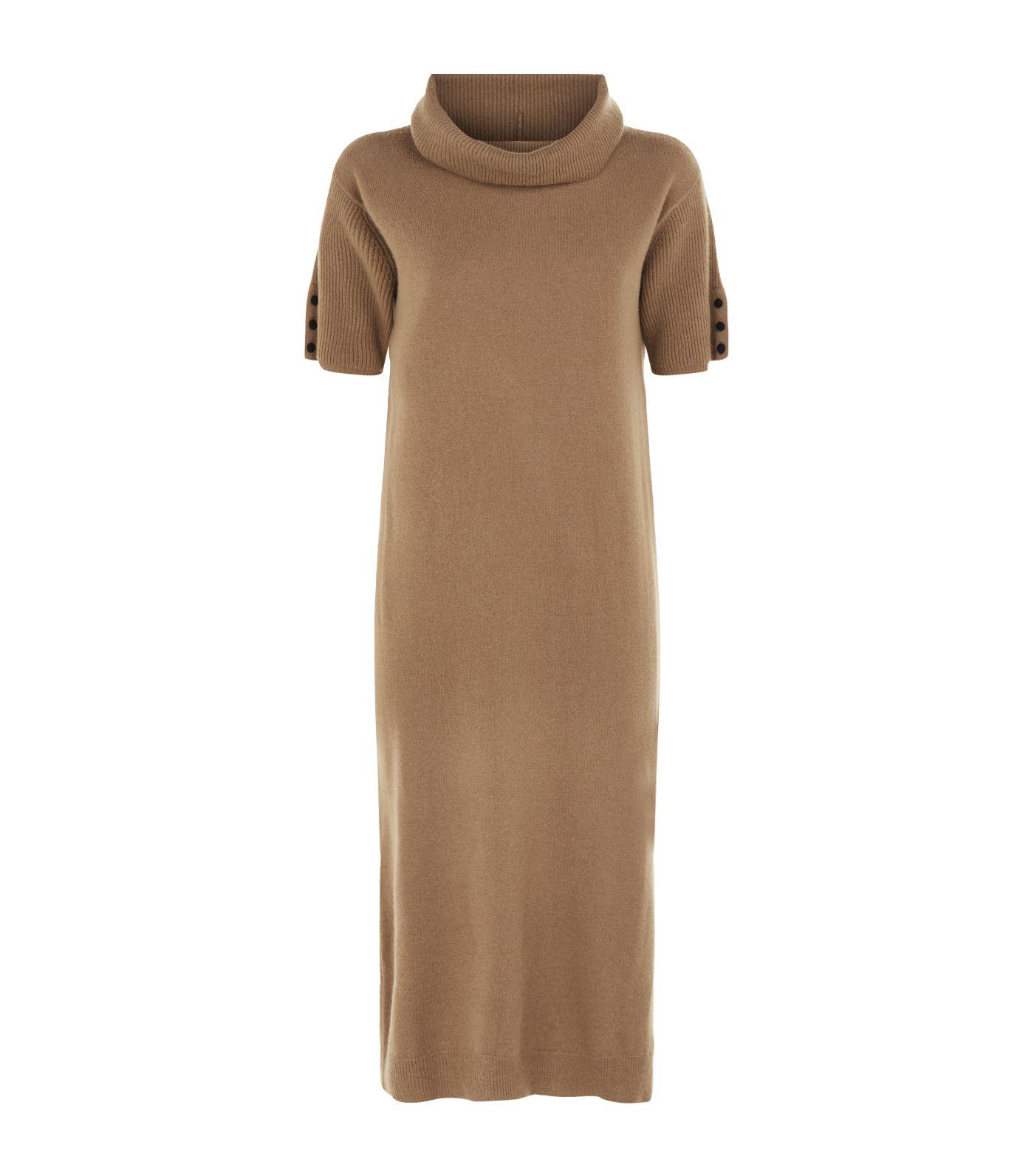 Max Mara Roll Neck Cashmere Dress in 