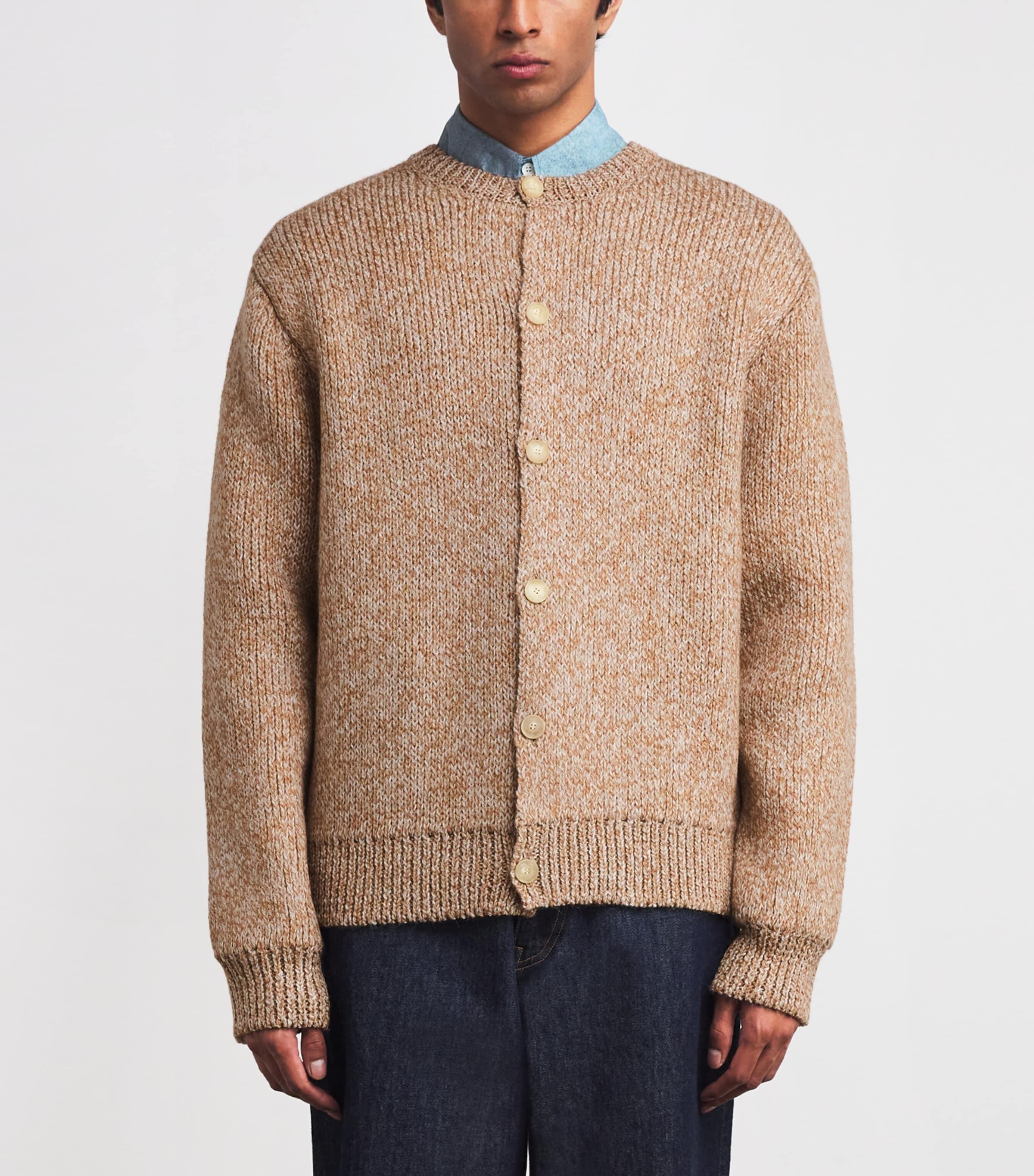 AURALEE Wool-Alpaca Double-Faced Cardigan in Brown for Men | Lyst