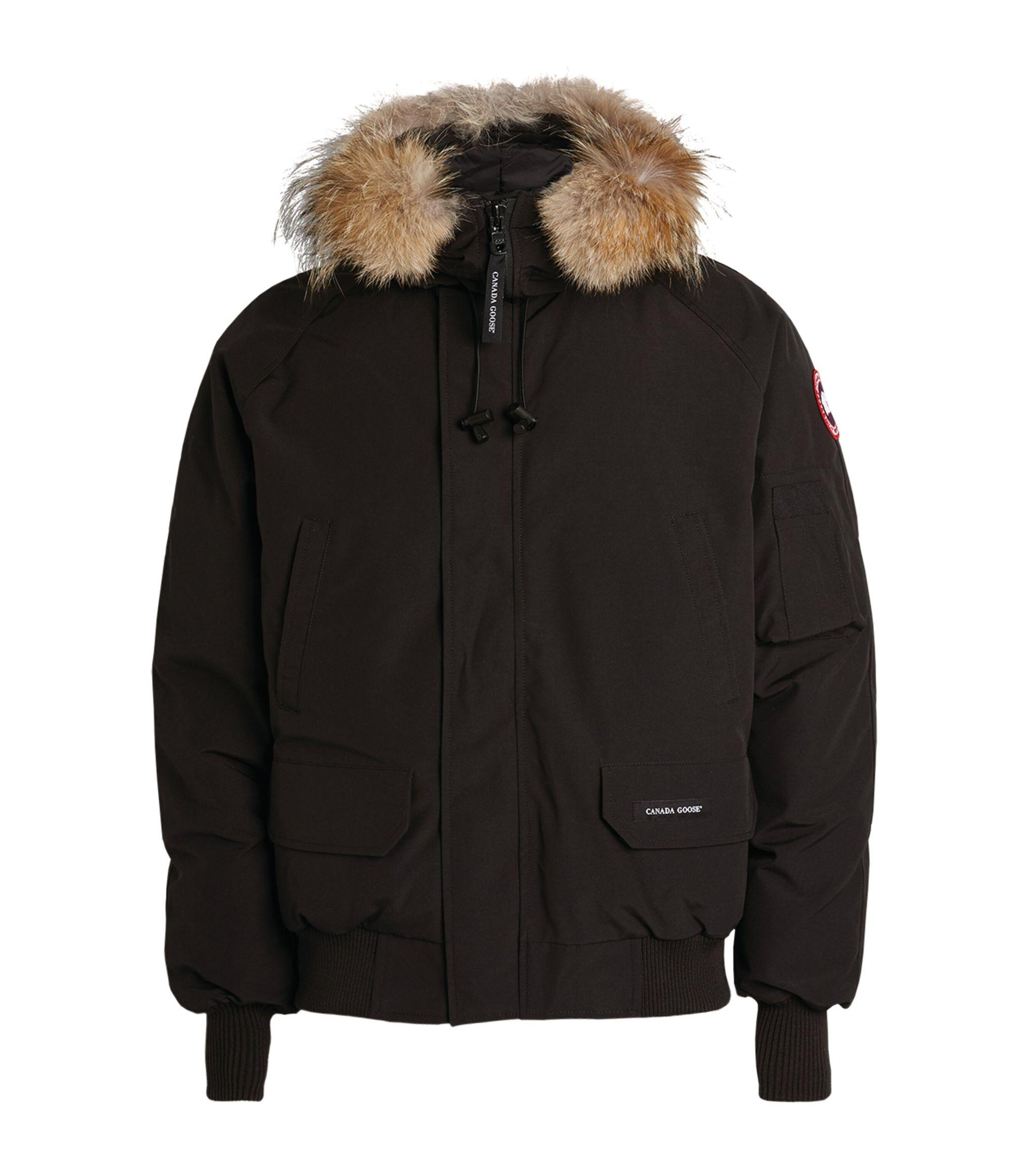 Canada Goose Goose Chilliwack Bomber Down Parka in Black for Men - Save 51%  | Lyst Canada