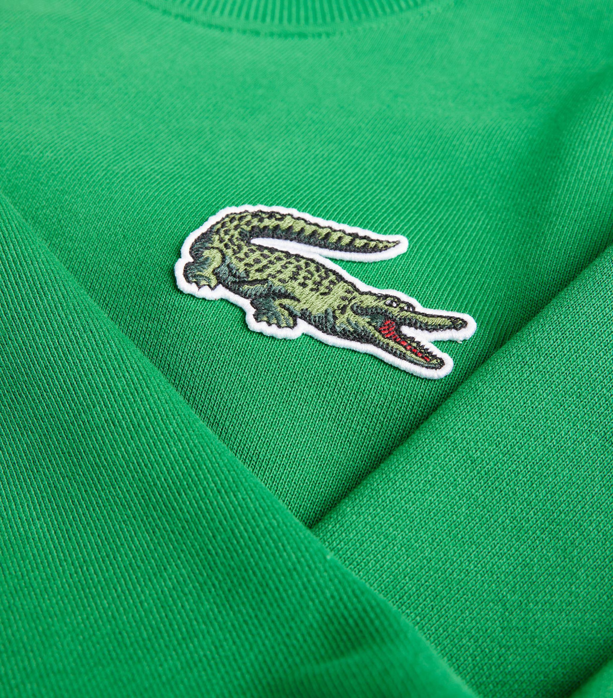 Faux polo lacoste new arrivals