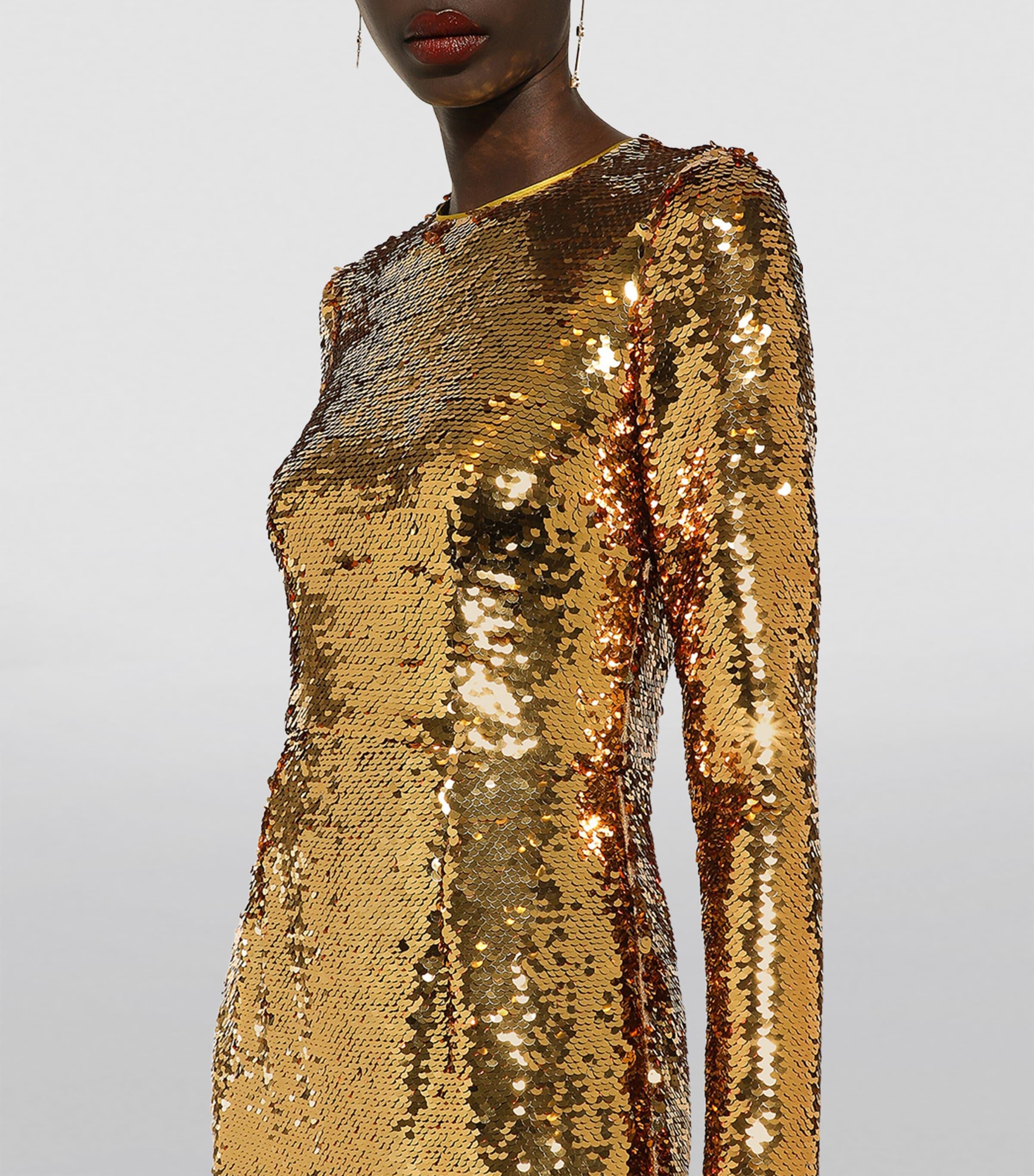 Dolce & Gabbana Sequin-Embellished Gown in Metallic | Lyst