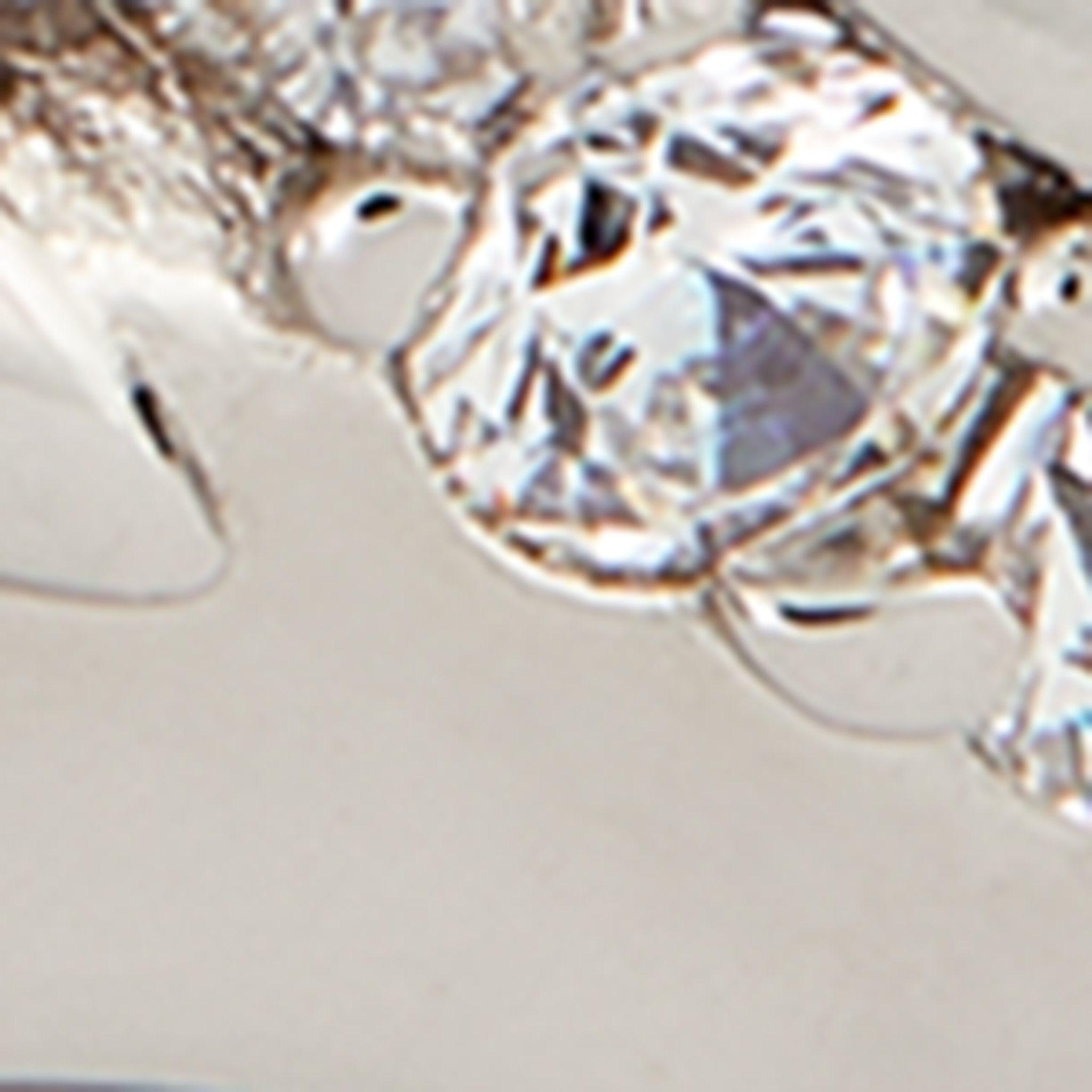Vivienne Westwood Silver Crystal-embellished Skull Ring in
