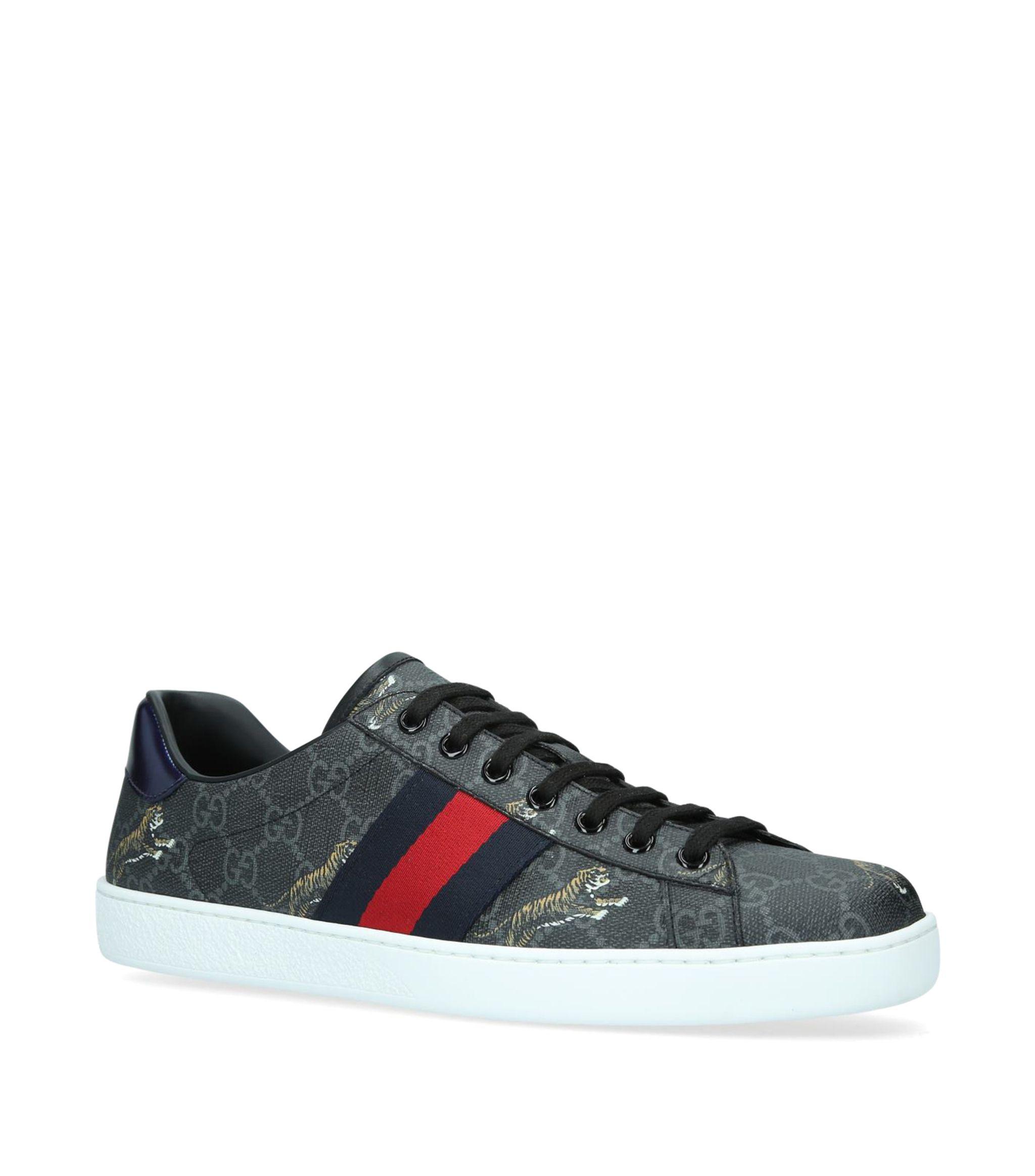 black gucci tiger shoes
