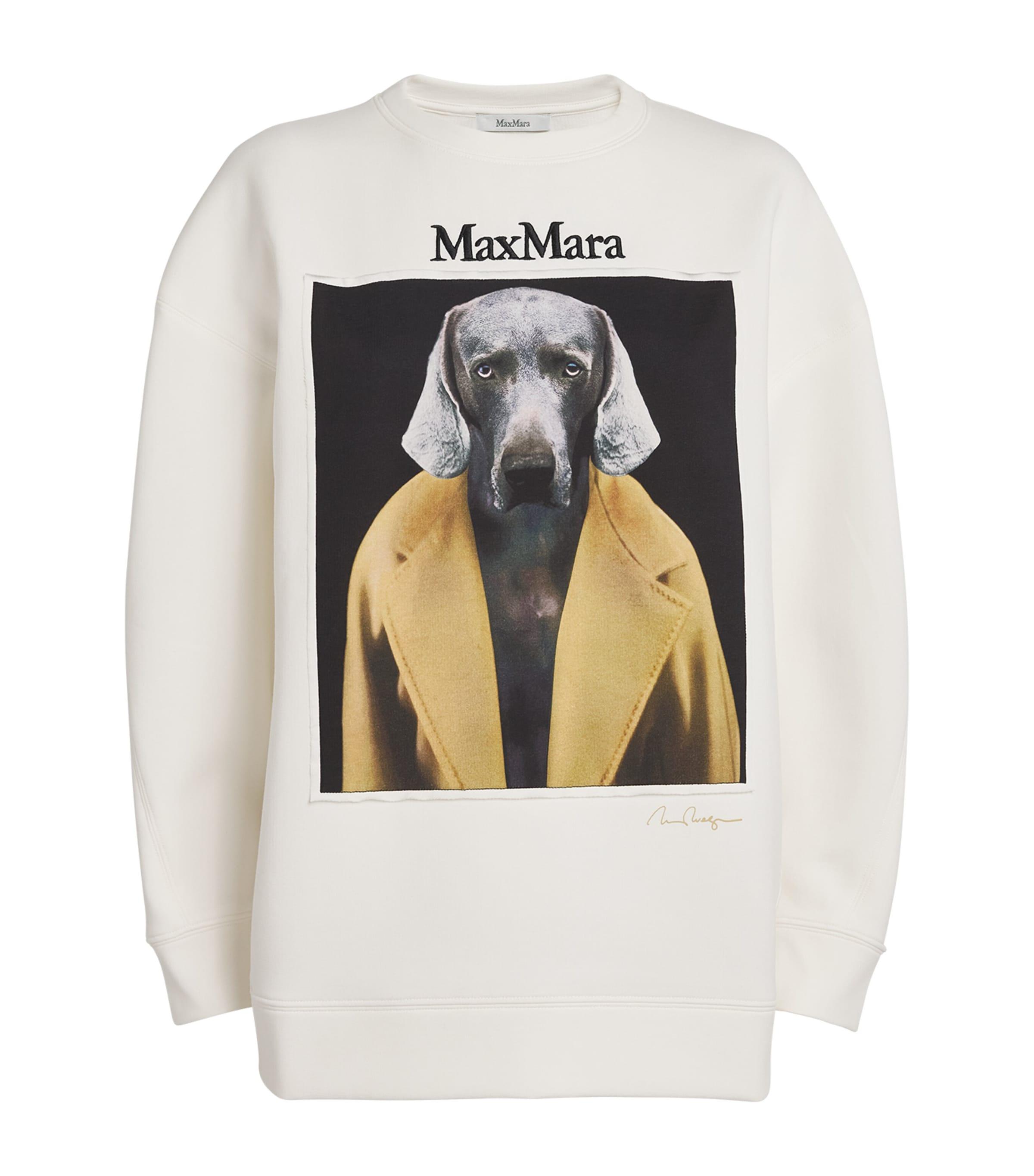 Max Mara Cotton Wegman Dog Sweatshirt in White | Lyst