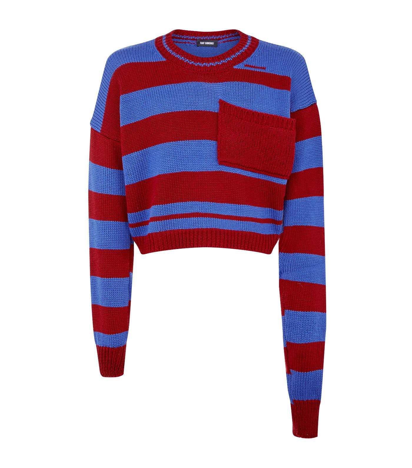 raf simons cropped knit