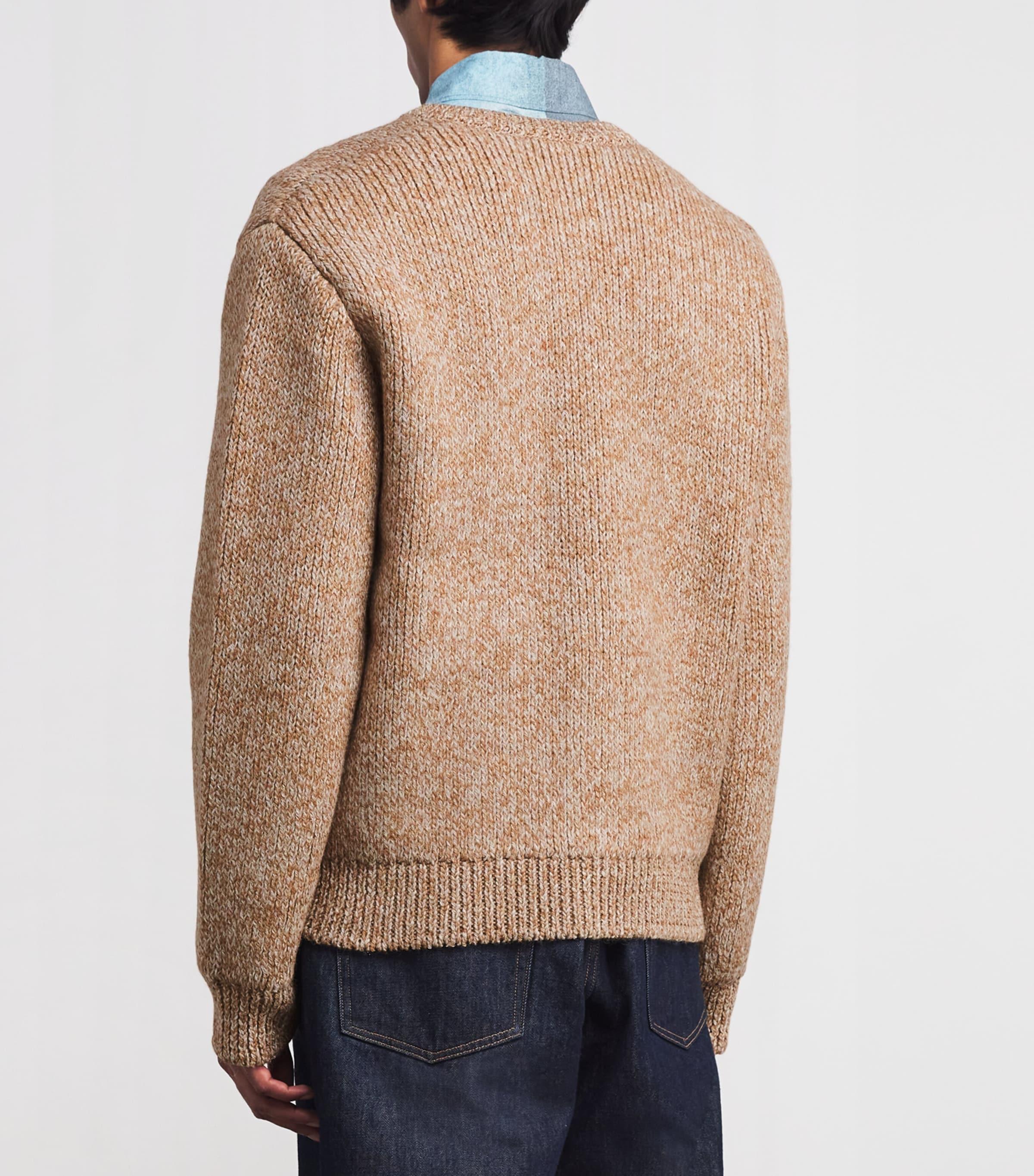 AURALEE Wool-Alpaca Double-Faced Cardigan in Brown for Men | Lyst