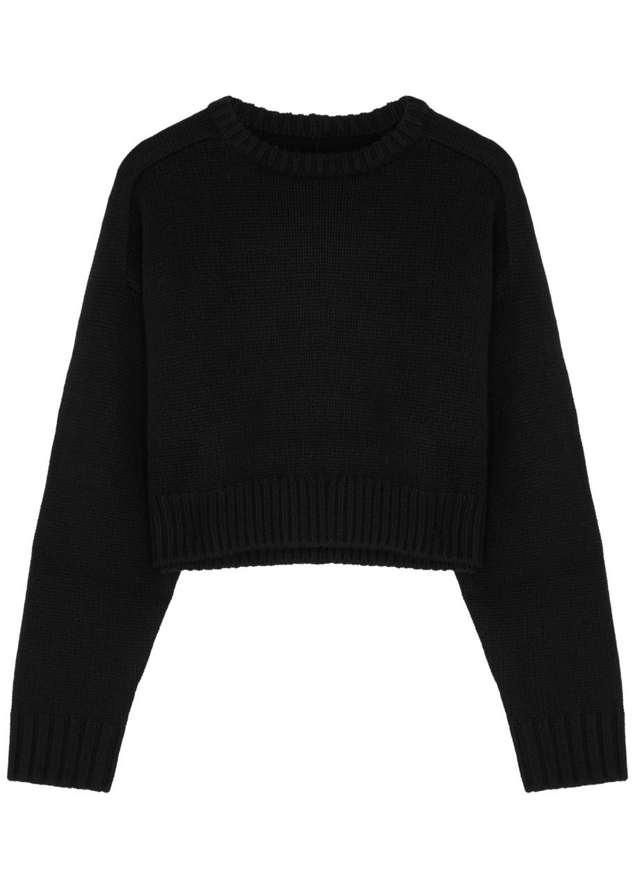 Cropped cashmere best sale jumper