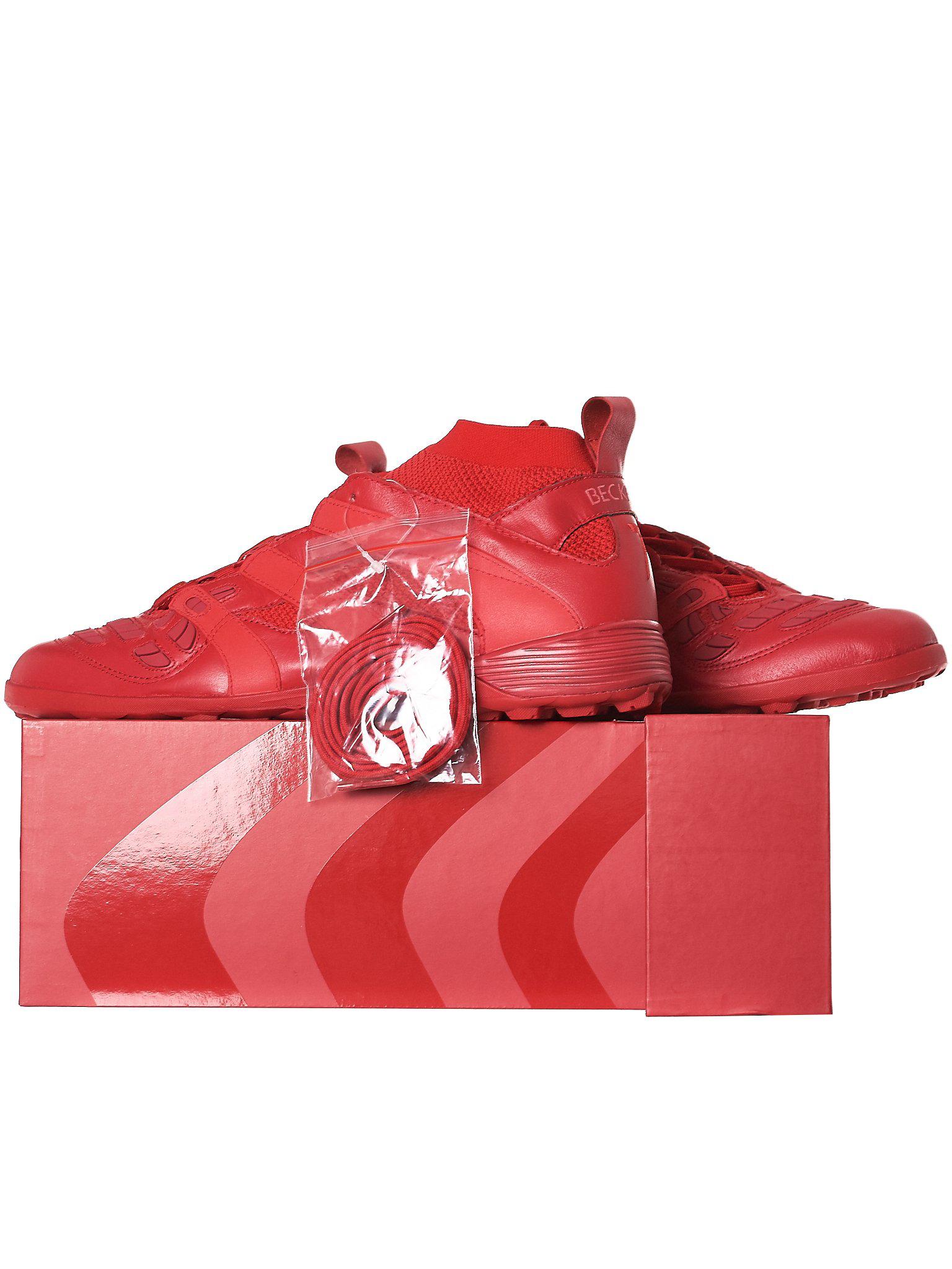 adidas predator accelerator turf