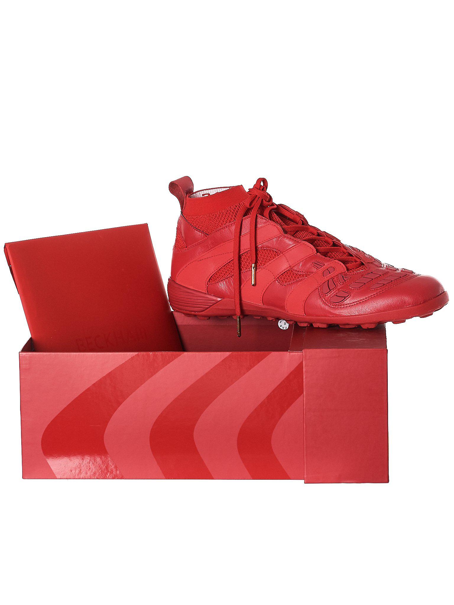predator accelerator turf