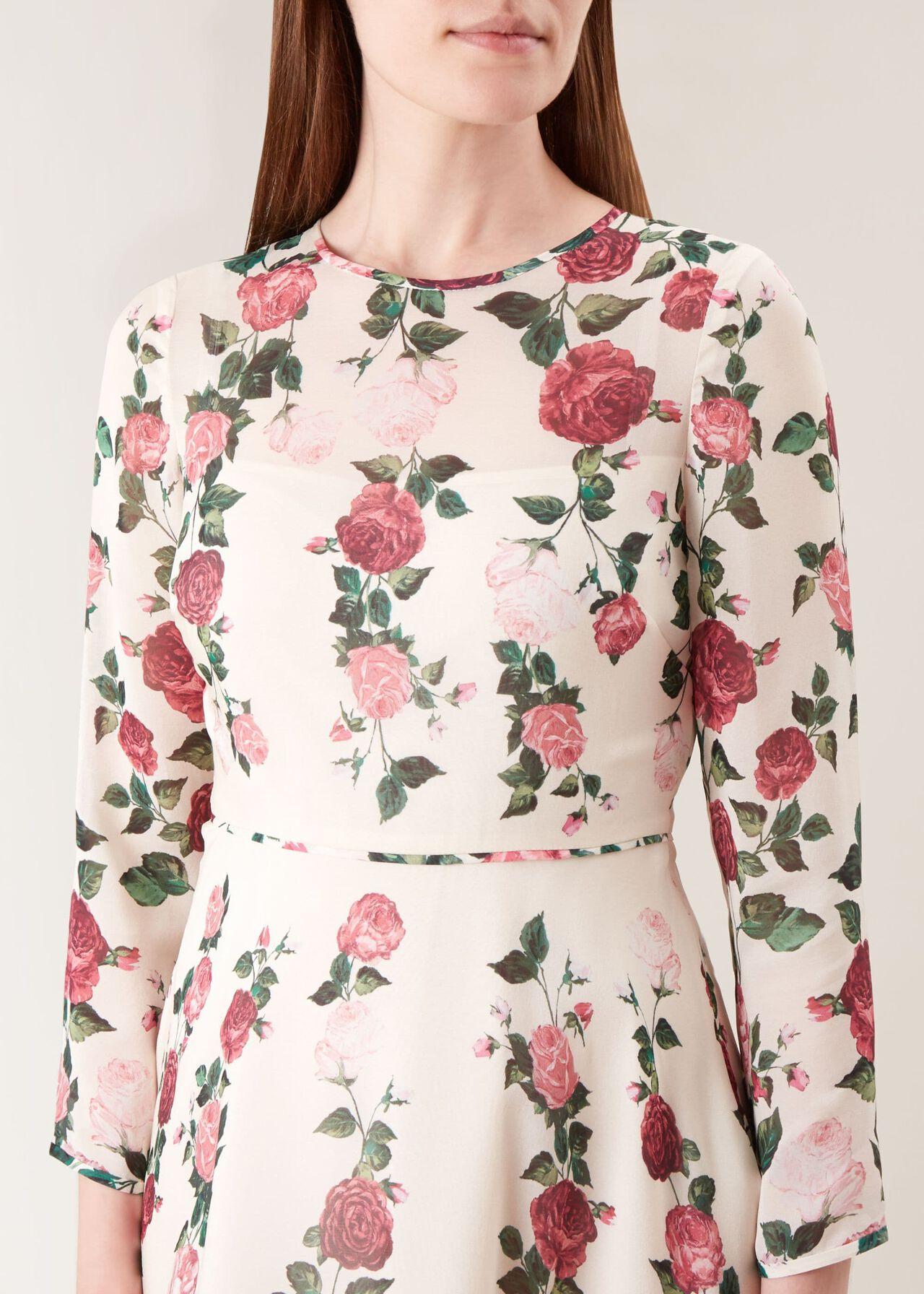 hobbs victoria rose dress