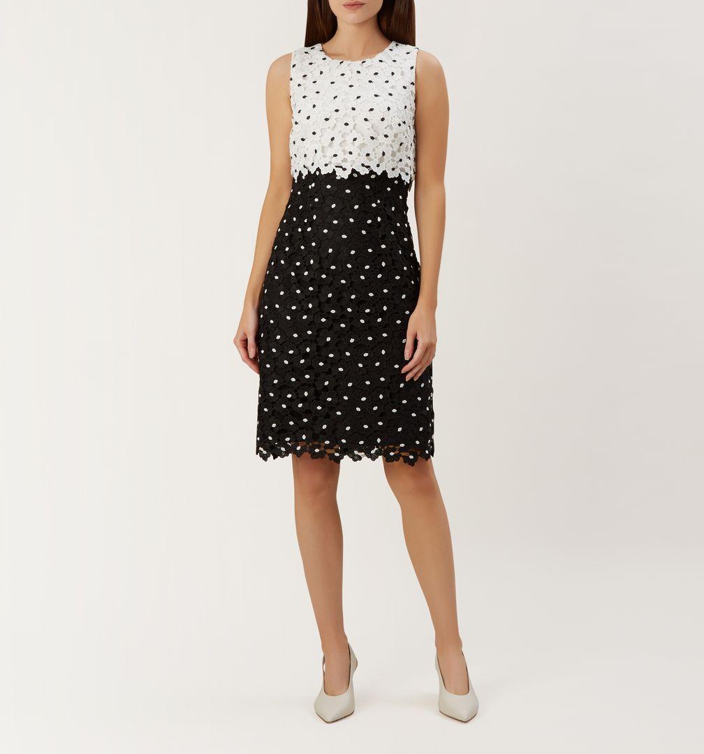 hobbs lulu shift dress