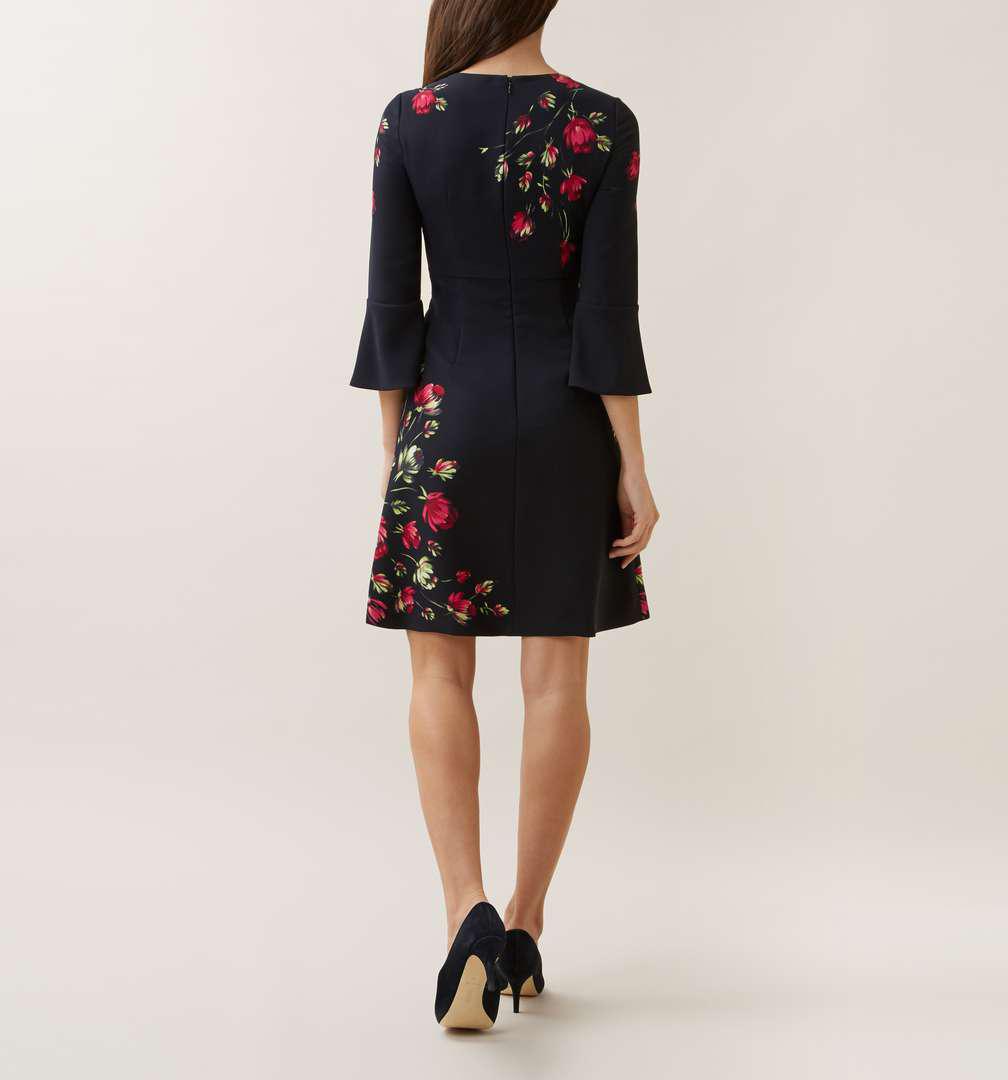 hobbs multi painted rose dress
