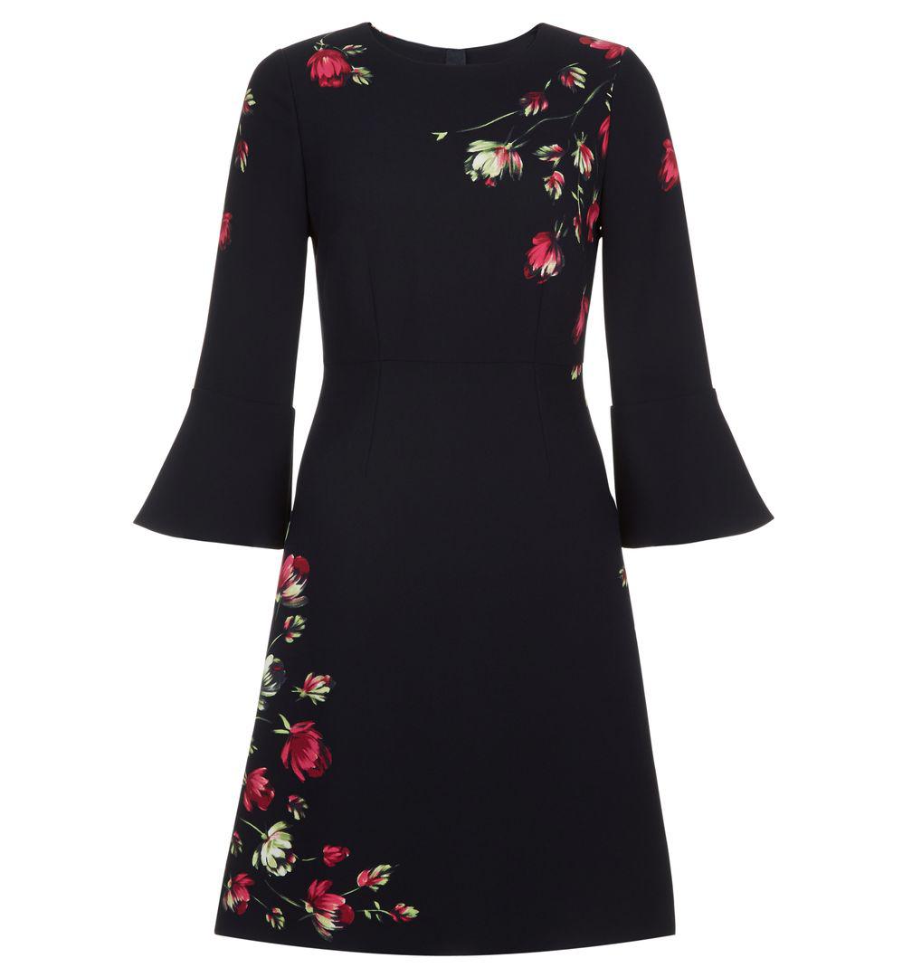 hobbs painted rose dress