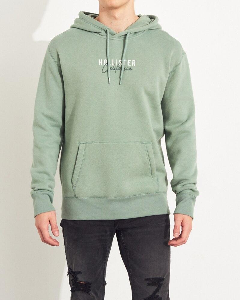 hollister lion hoodie