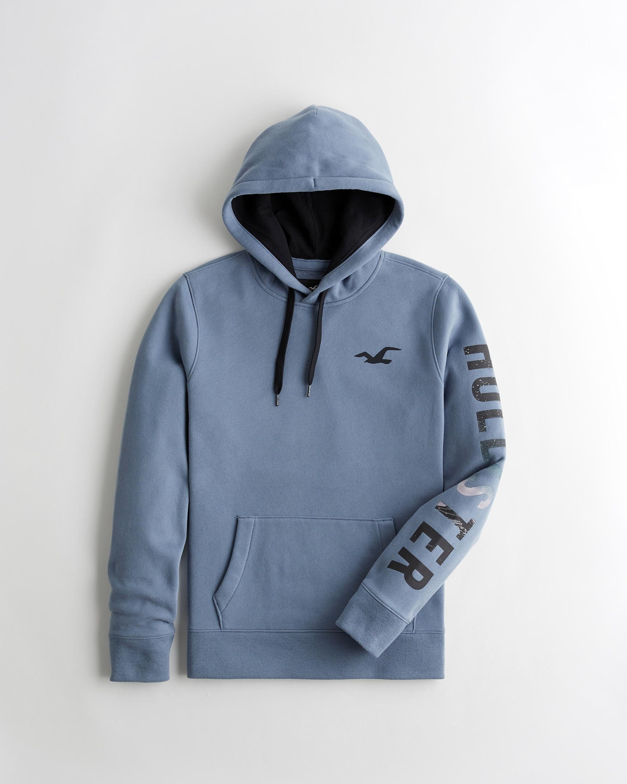 hollister LIGHT BLUE Mountain Print Logo Hoodie.jpeg