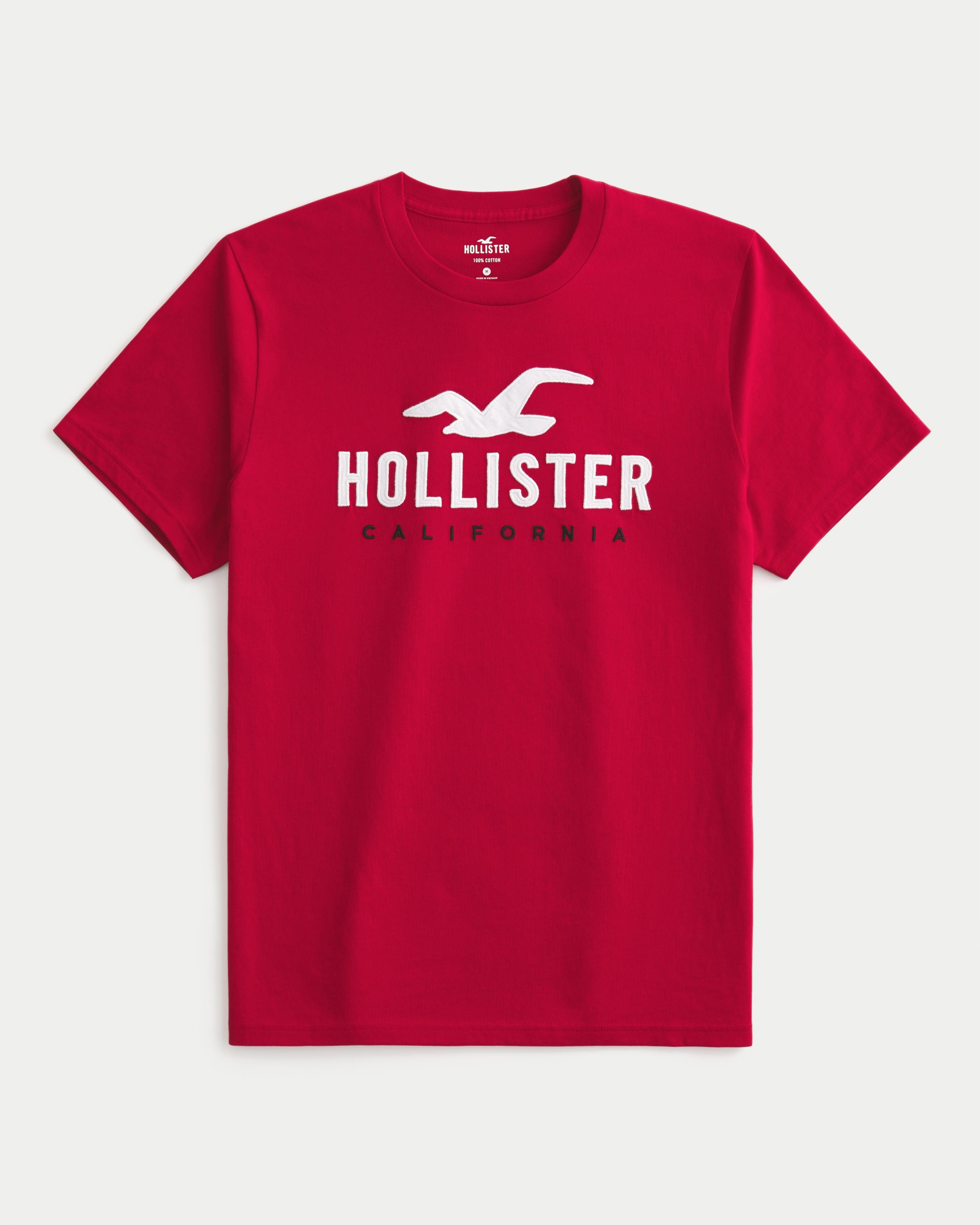 Hollister Cotton Logo Graphic Tee in Red for Men