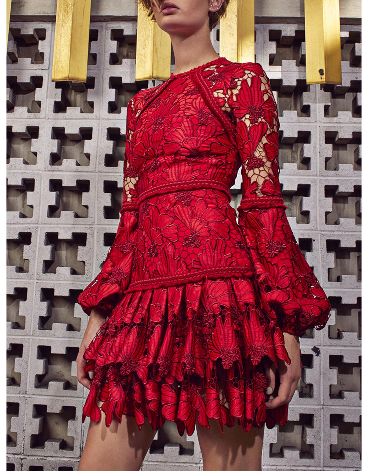 alexis red lace fransisca dress