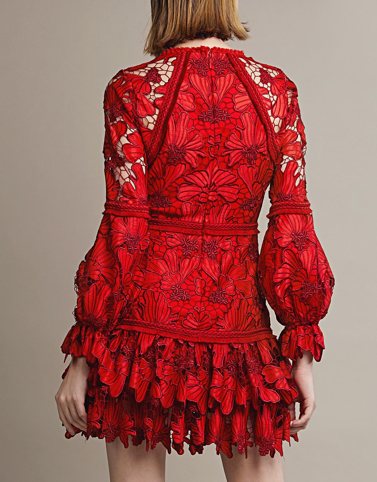 alexis red lace fransisca dress