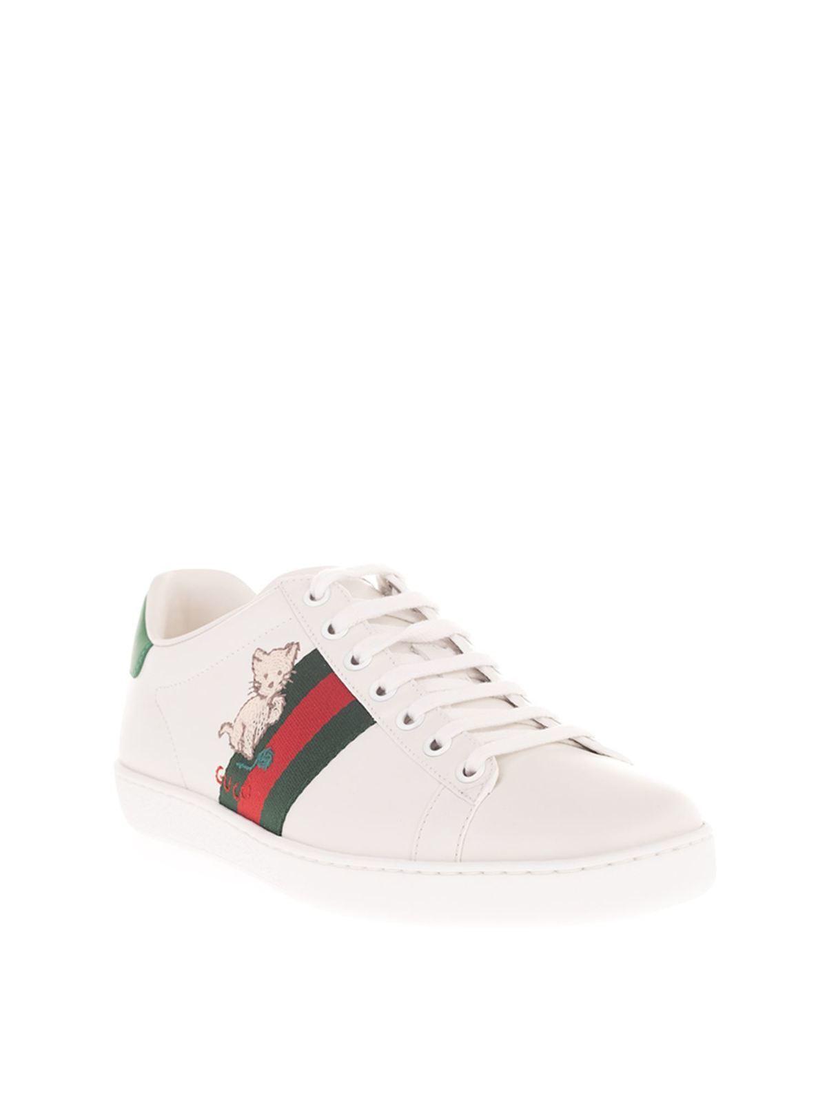 gucci ace kitten