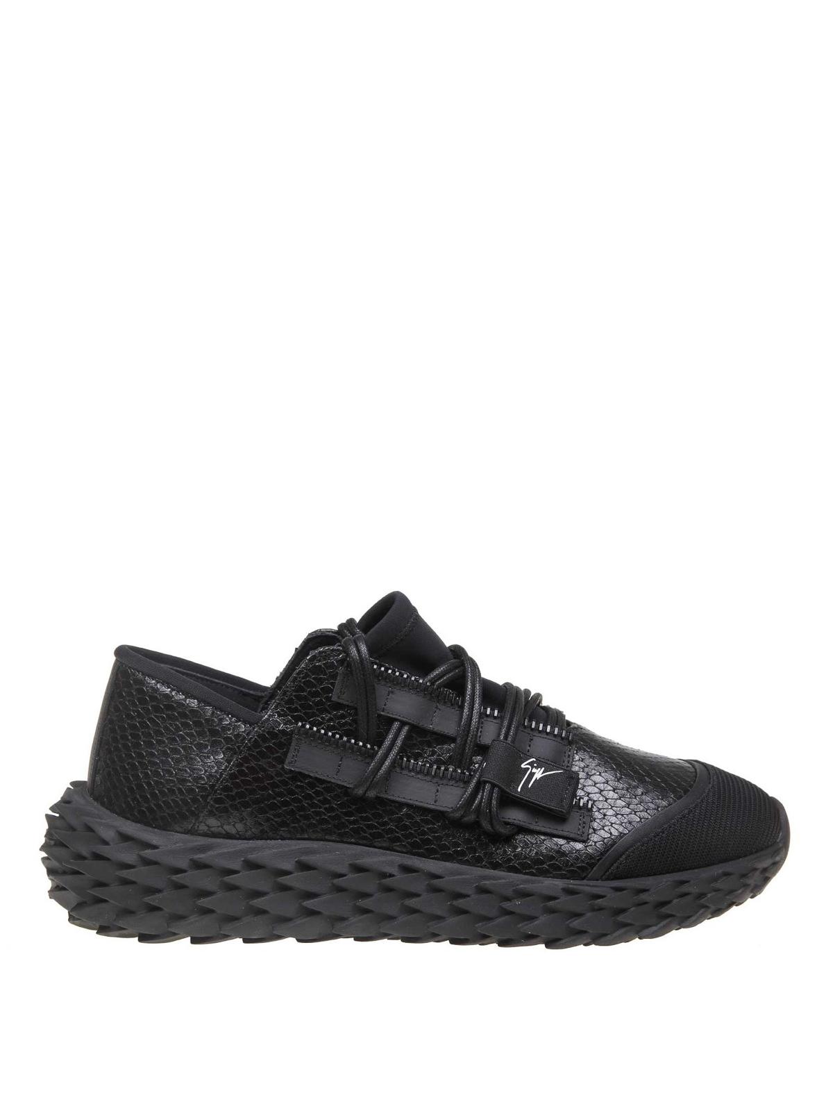 urchin giuseppe zanotti