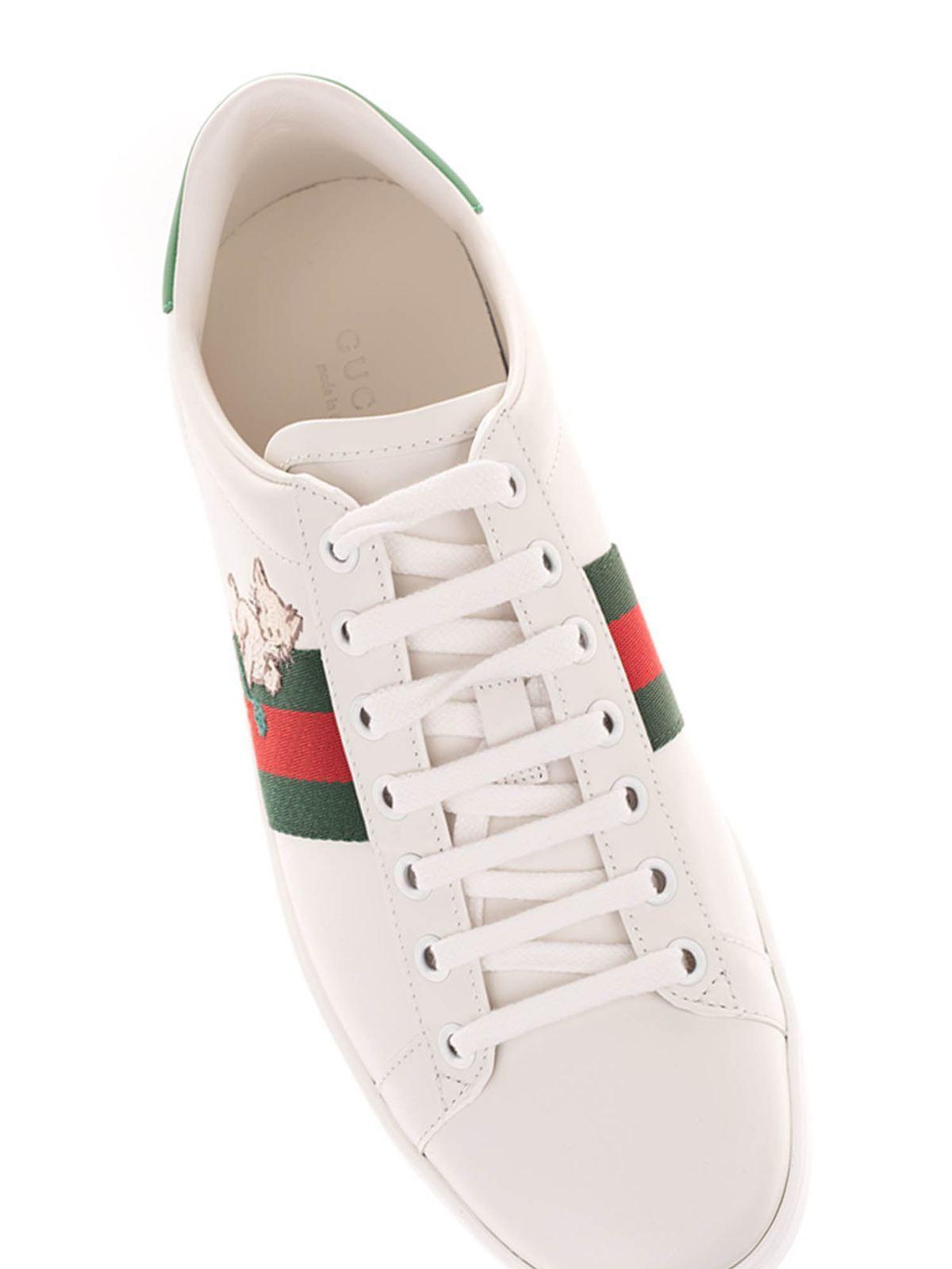 gucci ace kitten
