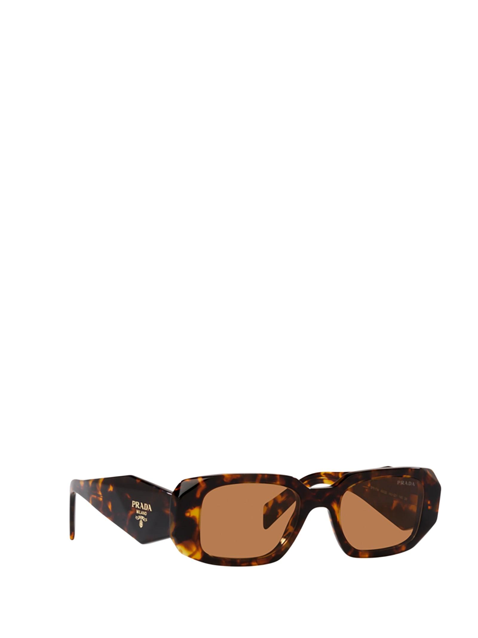 Prada Pr 17ws Honey Tortoise Sunglasses | Lyst UK