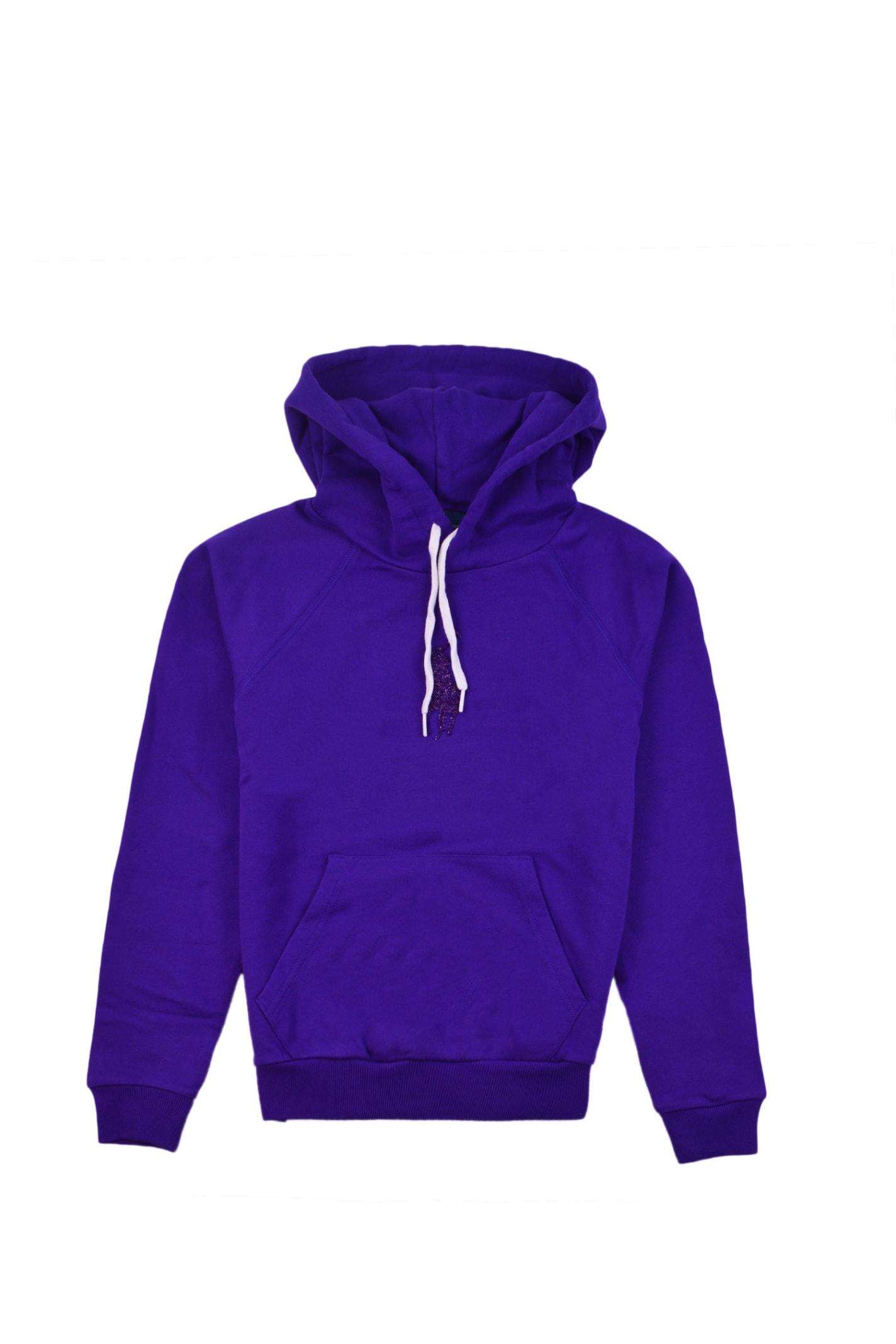 Ralph lauren best sale purple hoodie