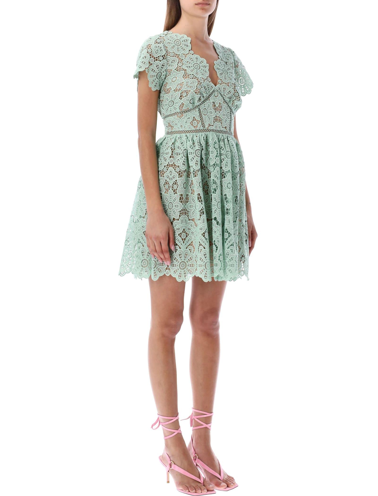 Self portrait floral clearance lace mini dress