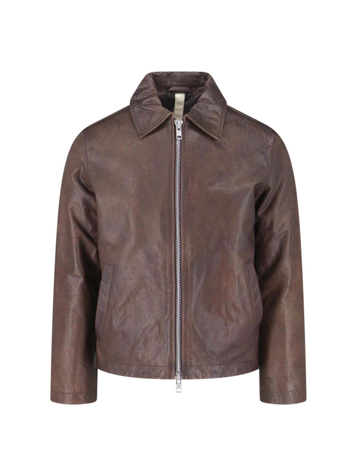 sunflower-designer-Brown-