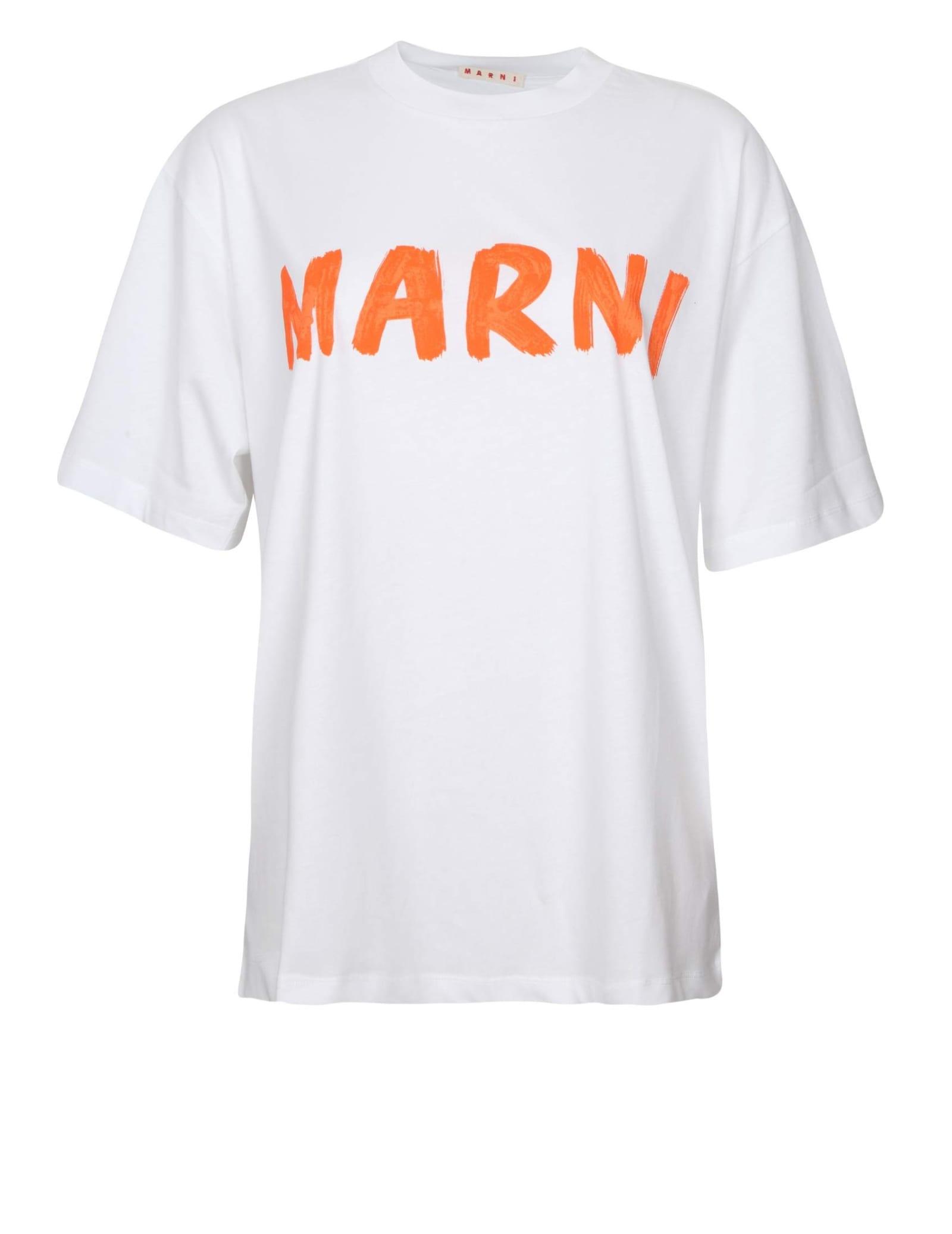MARNI コットンTシャツ - greatriverarts.com
