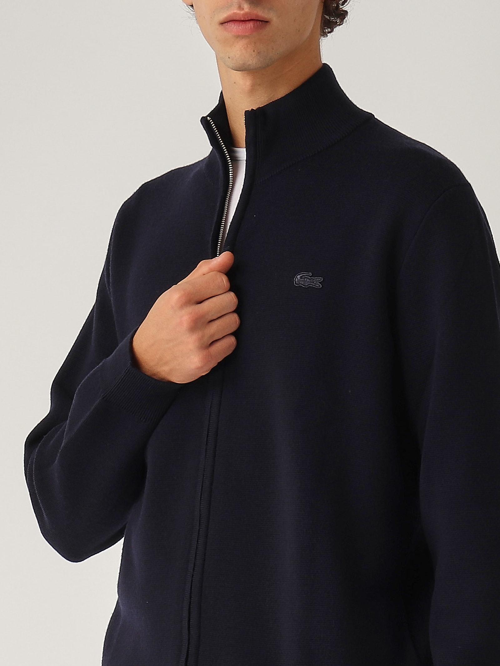 Lacoste pullover sweater new arrivals