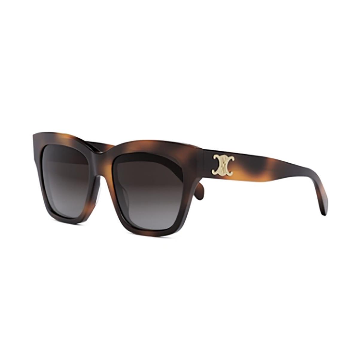 Celine Cl40253i 53k Sunglasses in Brown | Lyst