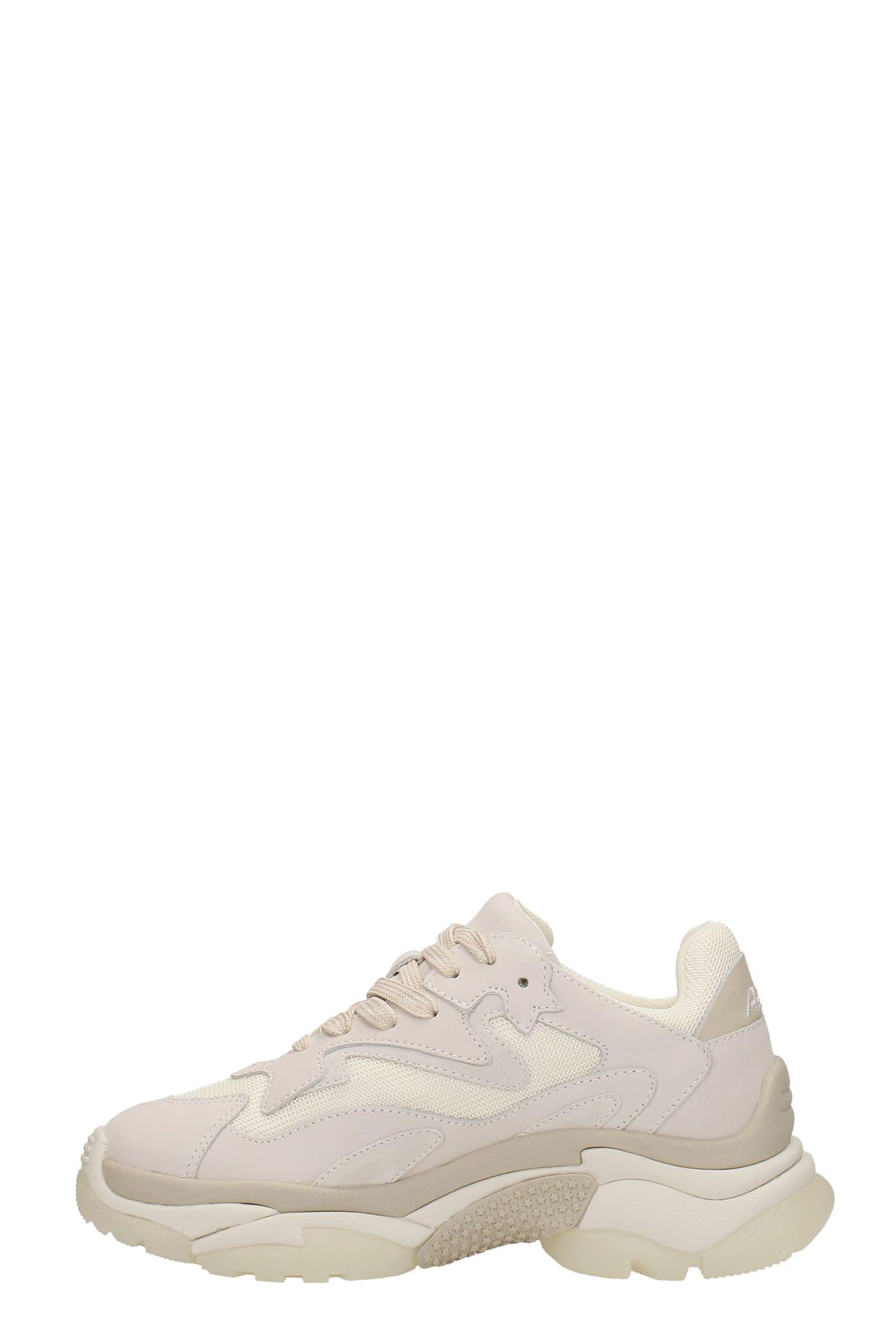 ash sneakers beige