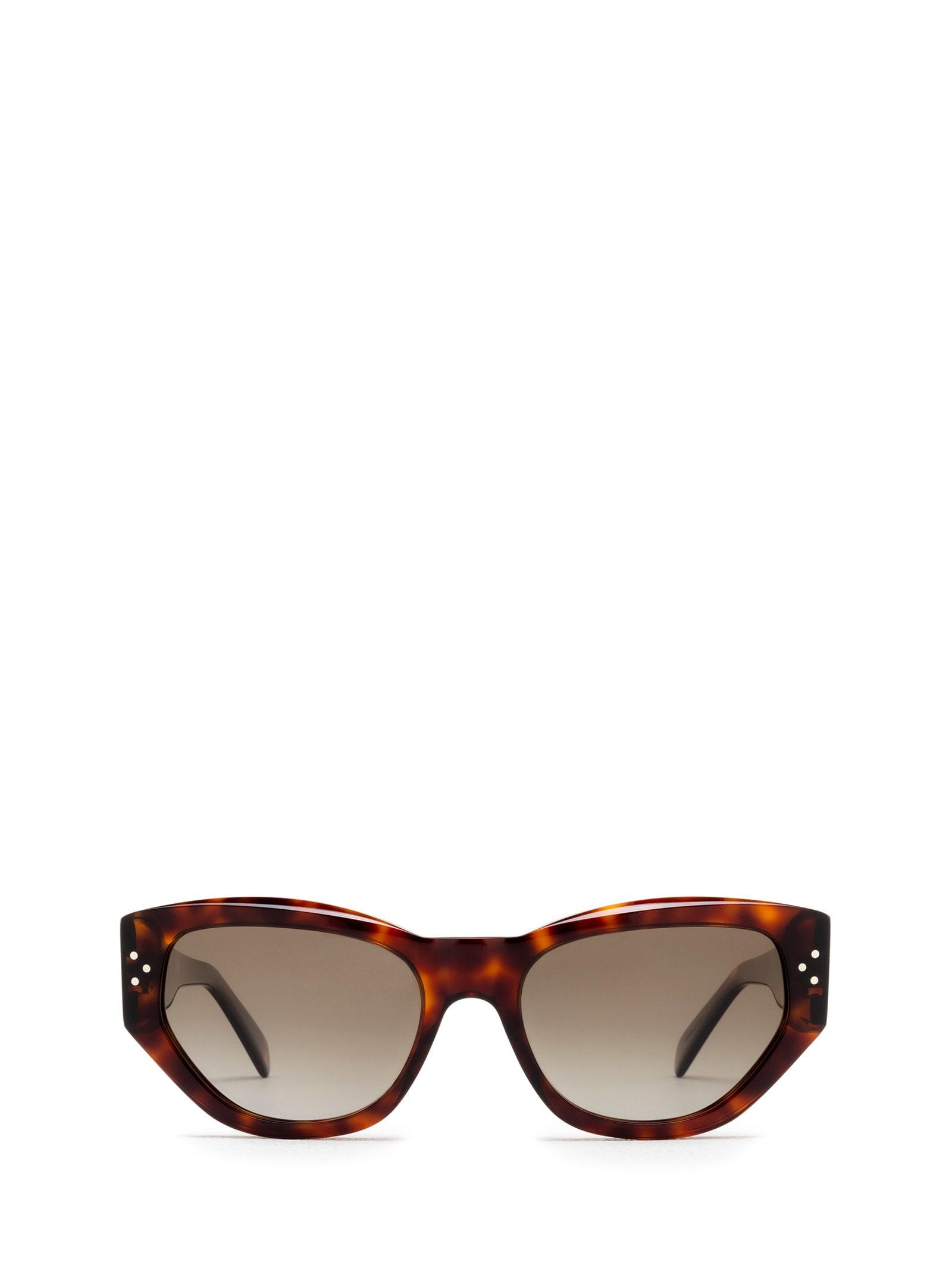 Celine Cl40219i Havana Sunglasses Lyst