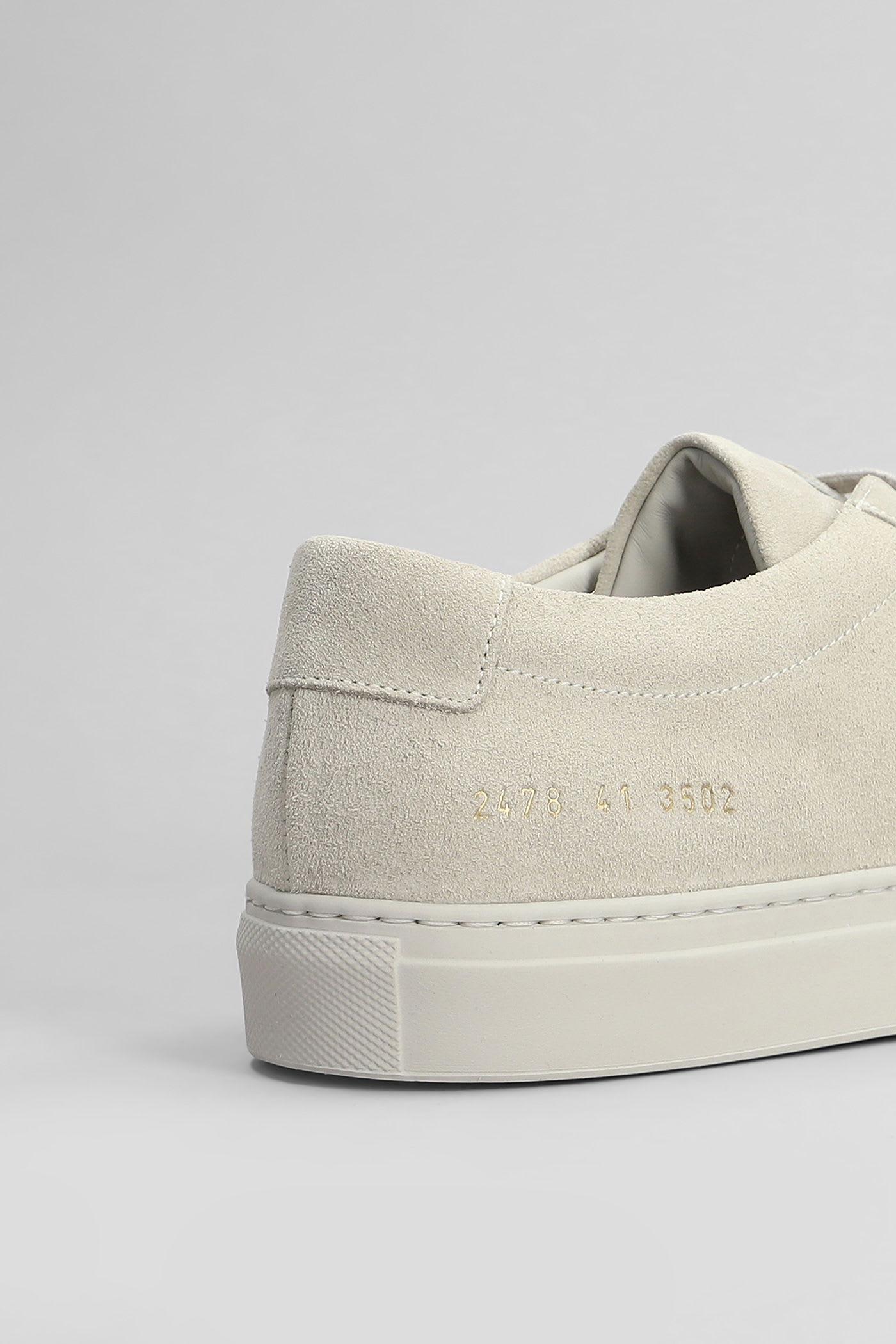 Common Projects スニーカー 女性 スエード 灰色/シュガー
