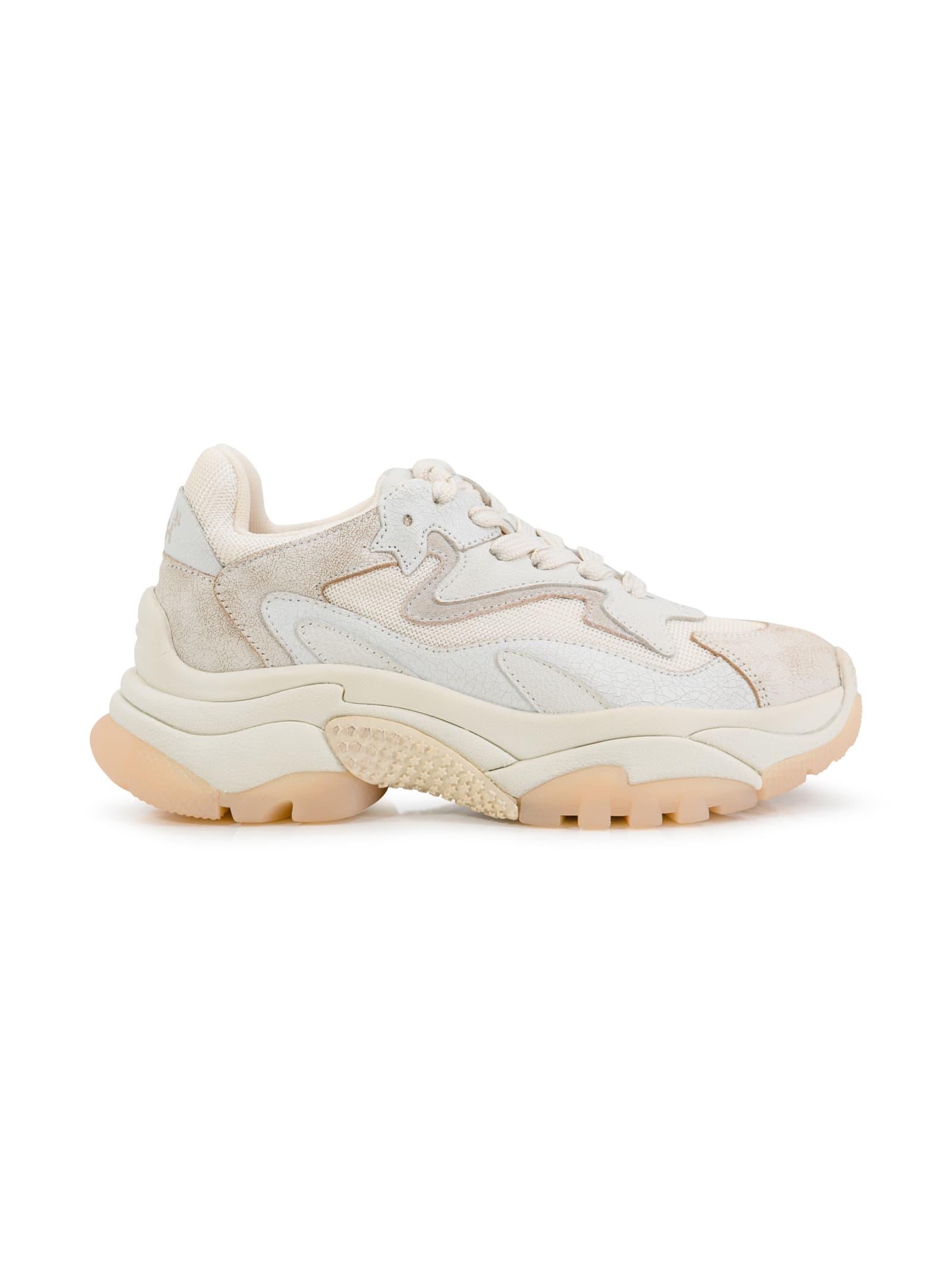 Ash Addict Low top Sneakers in White Lyst UK