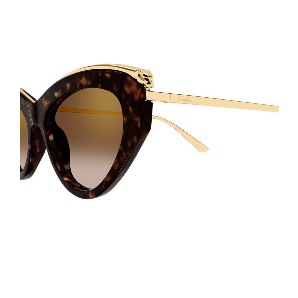 Cartier CT0596S-002 Sunglasses Havana Gold Brown Acetate Cartier CT0596S 002 Sunglasses - Pretavoir main image 3