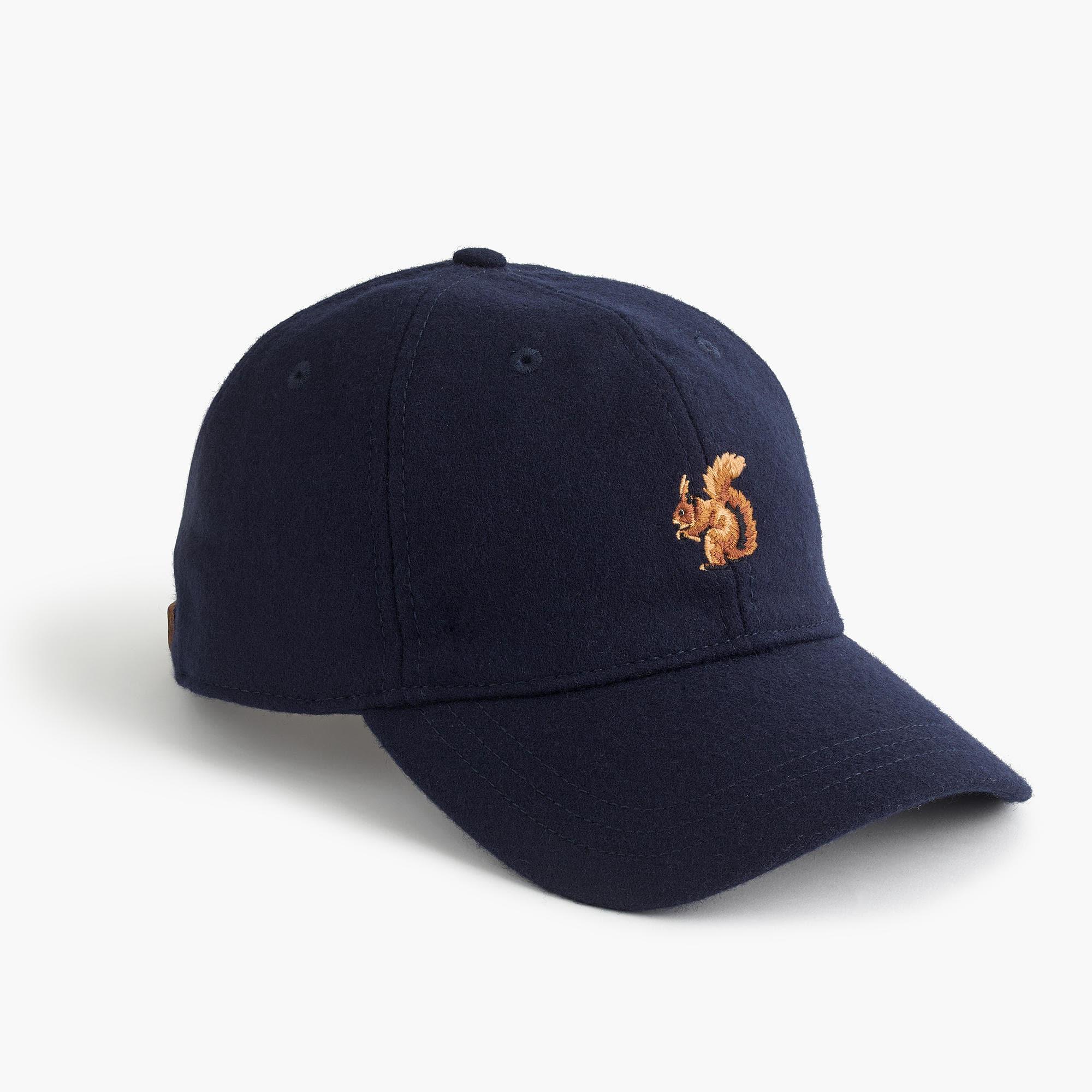 J.Crew Squirrel Print Wool Ball Cap in 