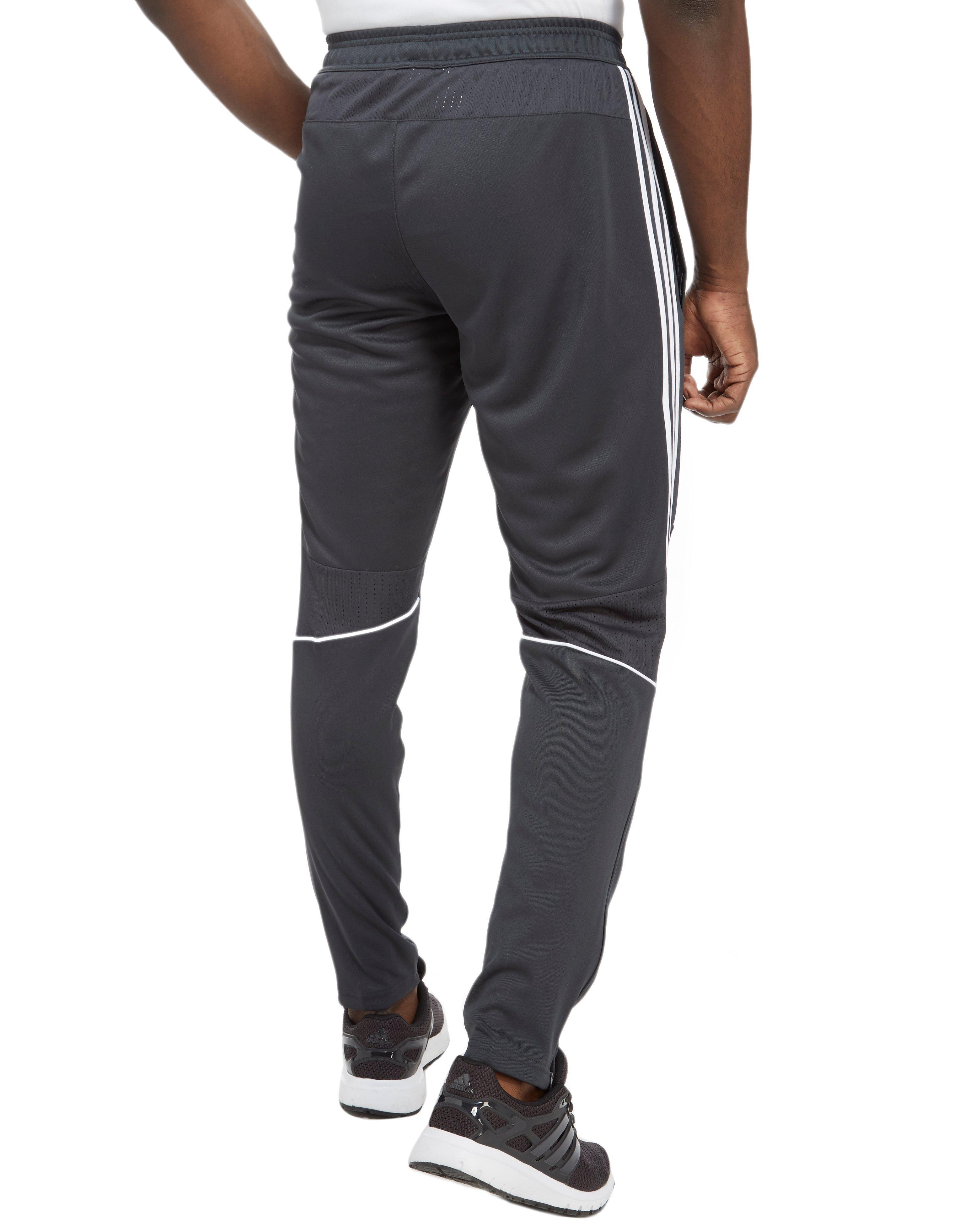 tango pants adidas