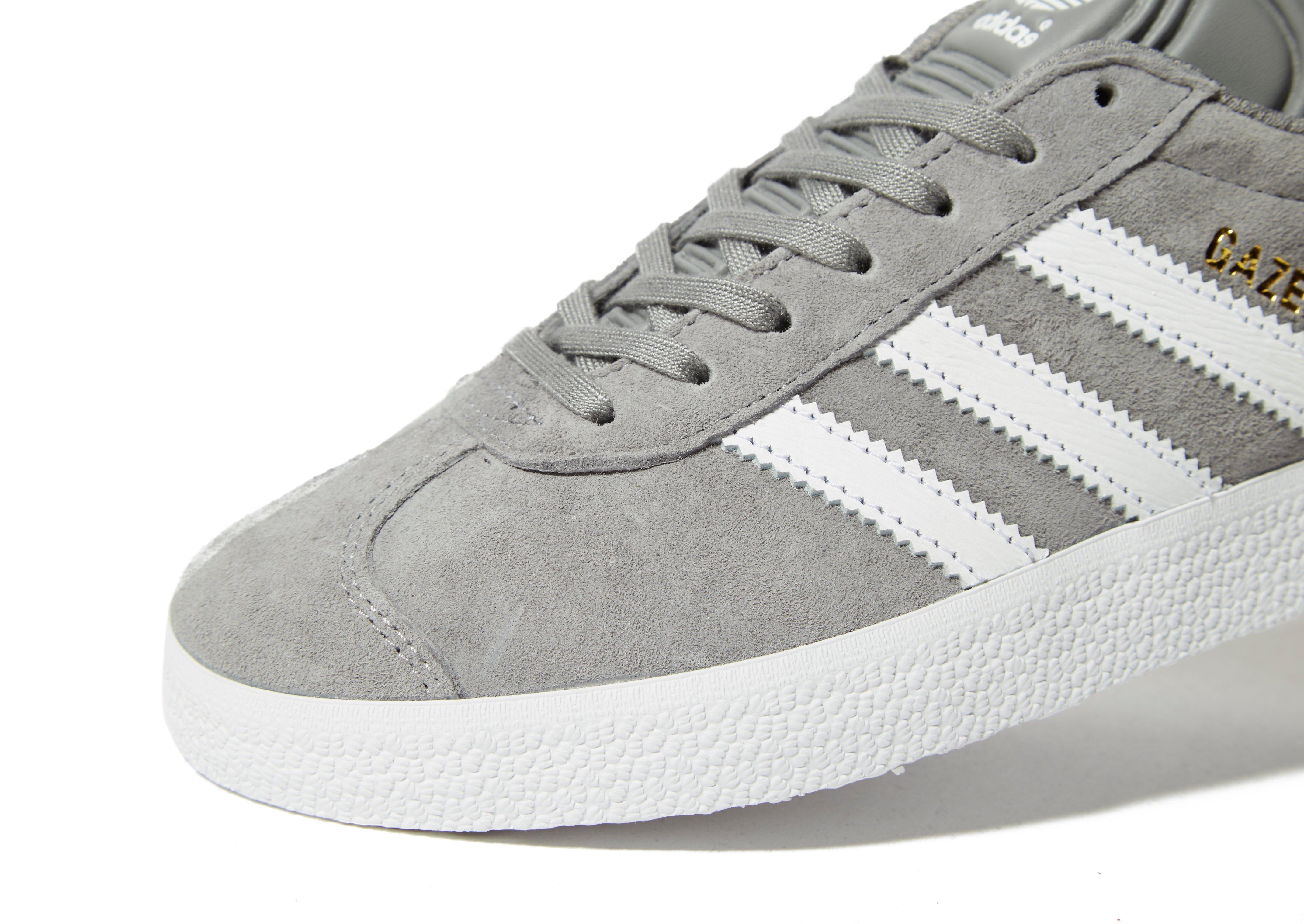 grey and white gazelles