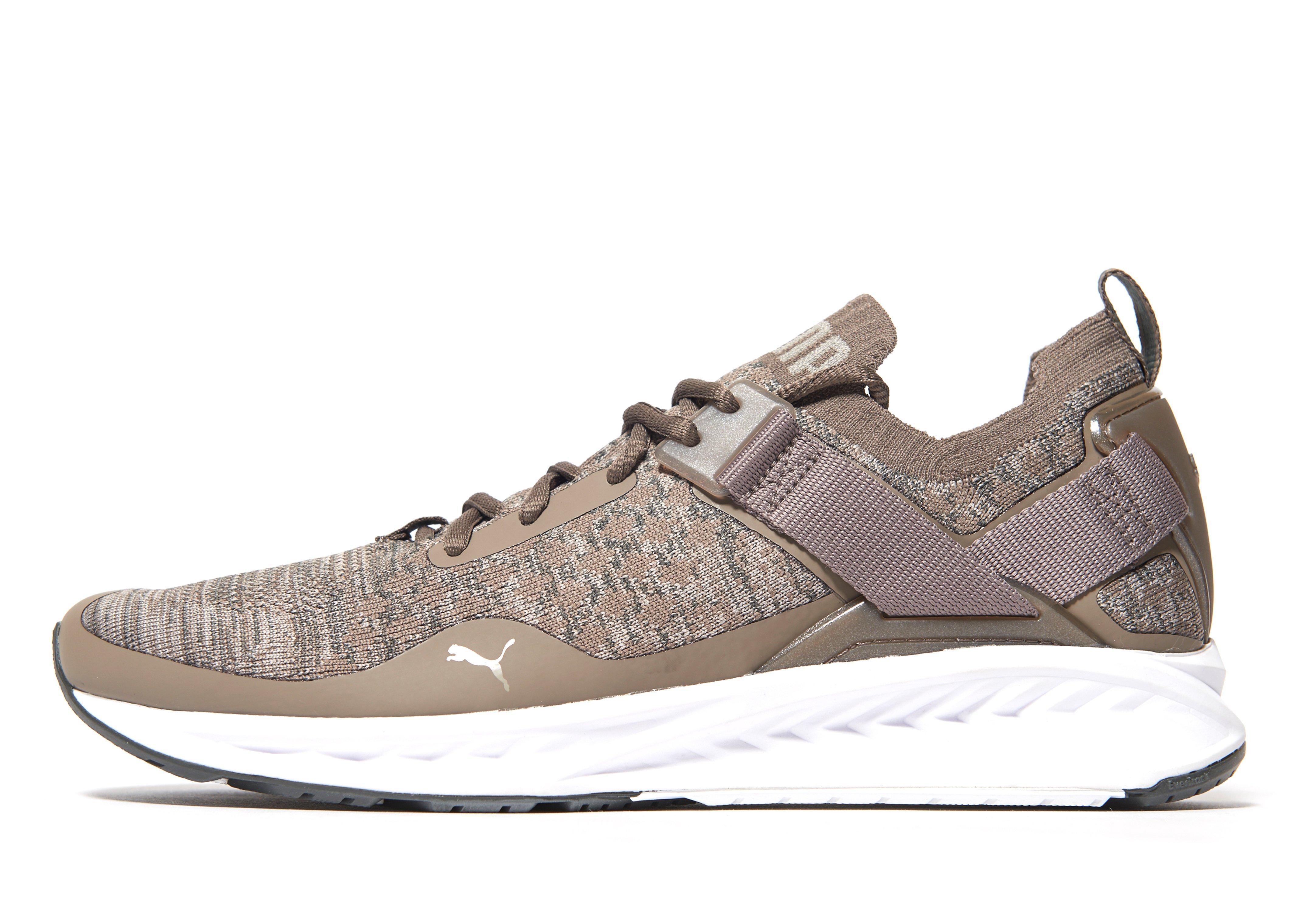 puma ignite brown