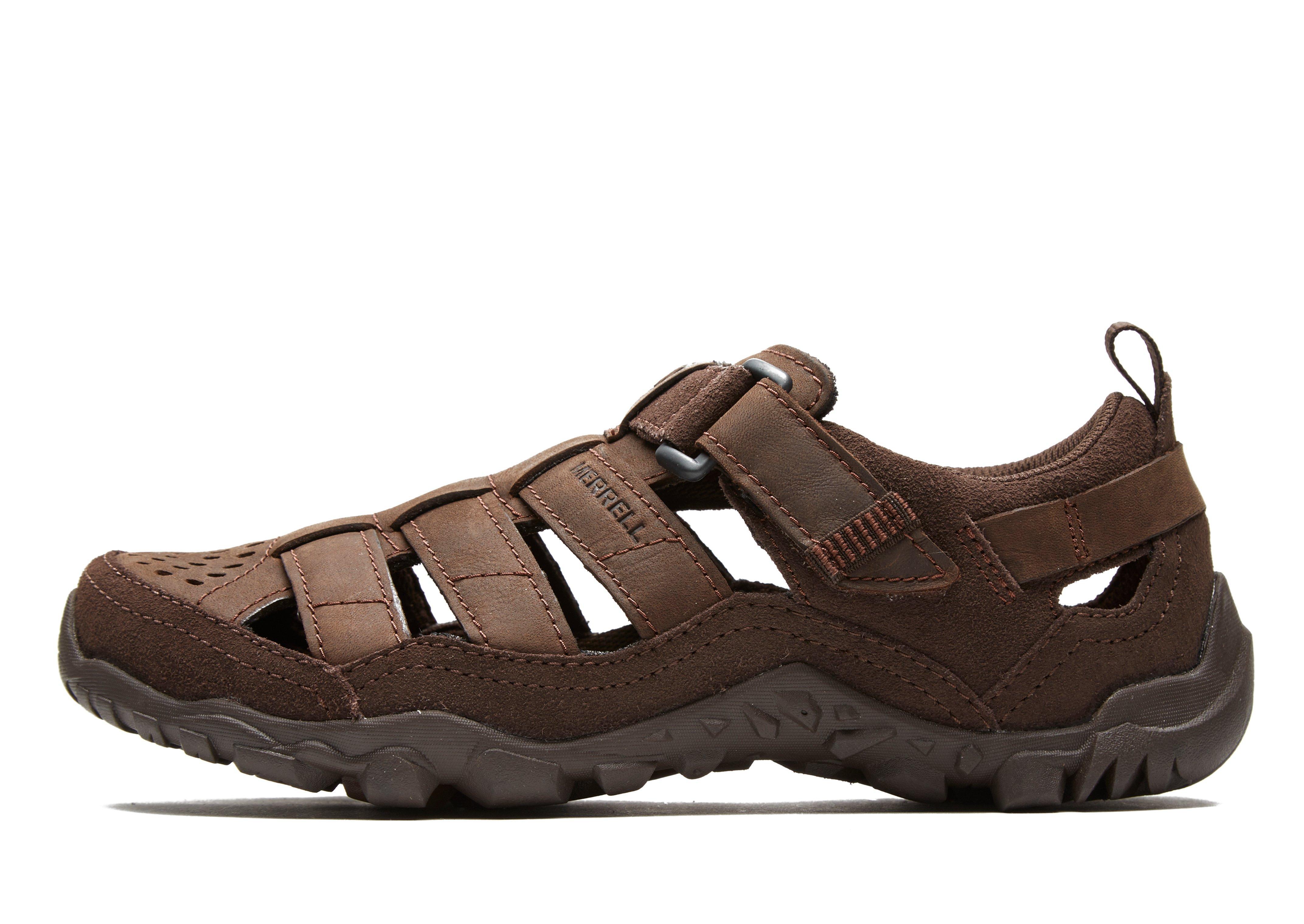 merrell brown