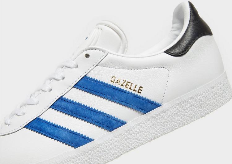 blue and black gazelles