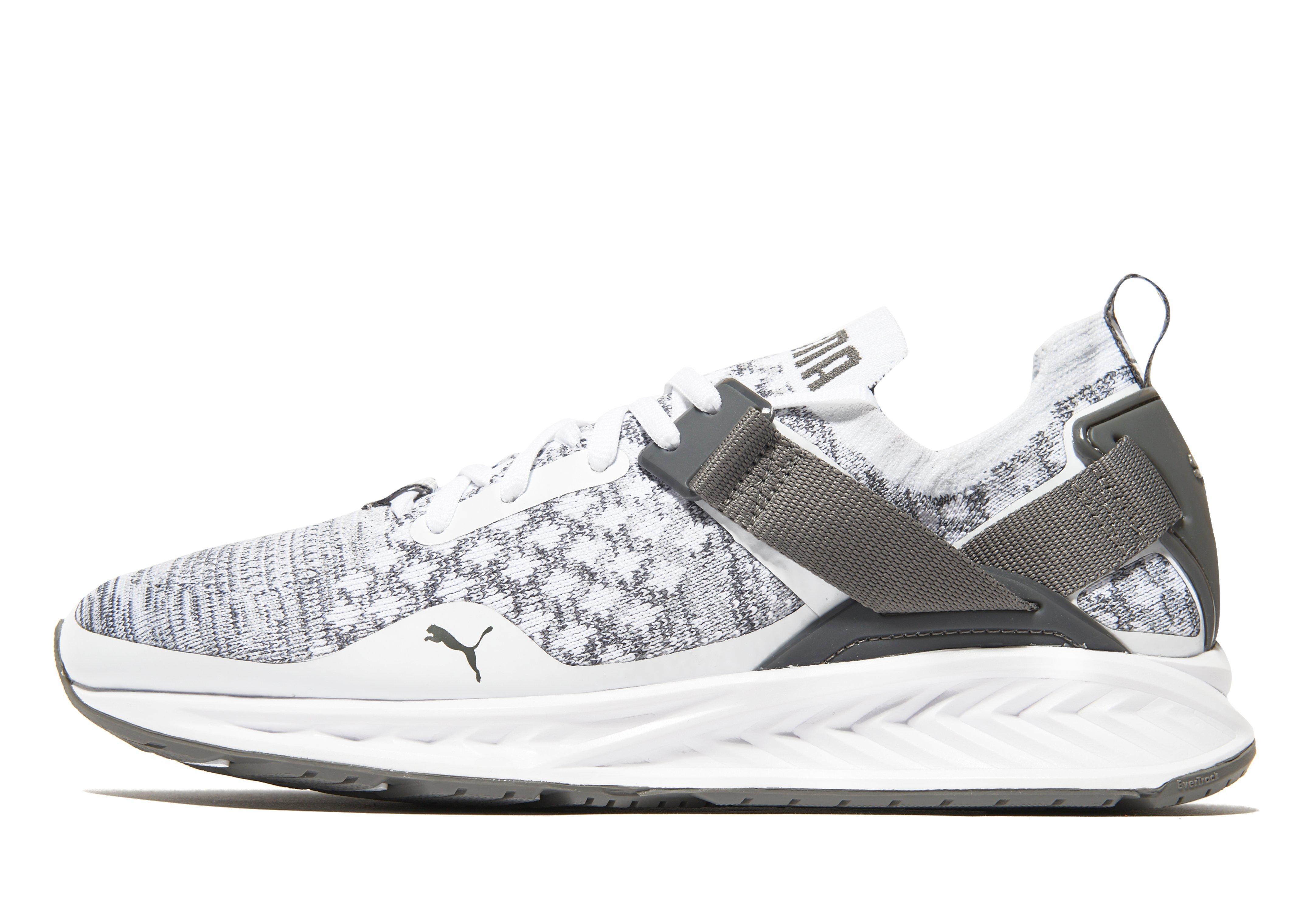 puma evoknit ignite