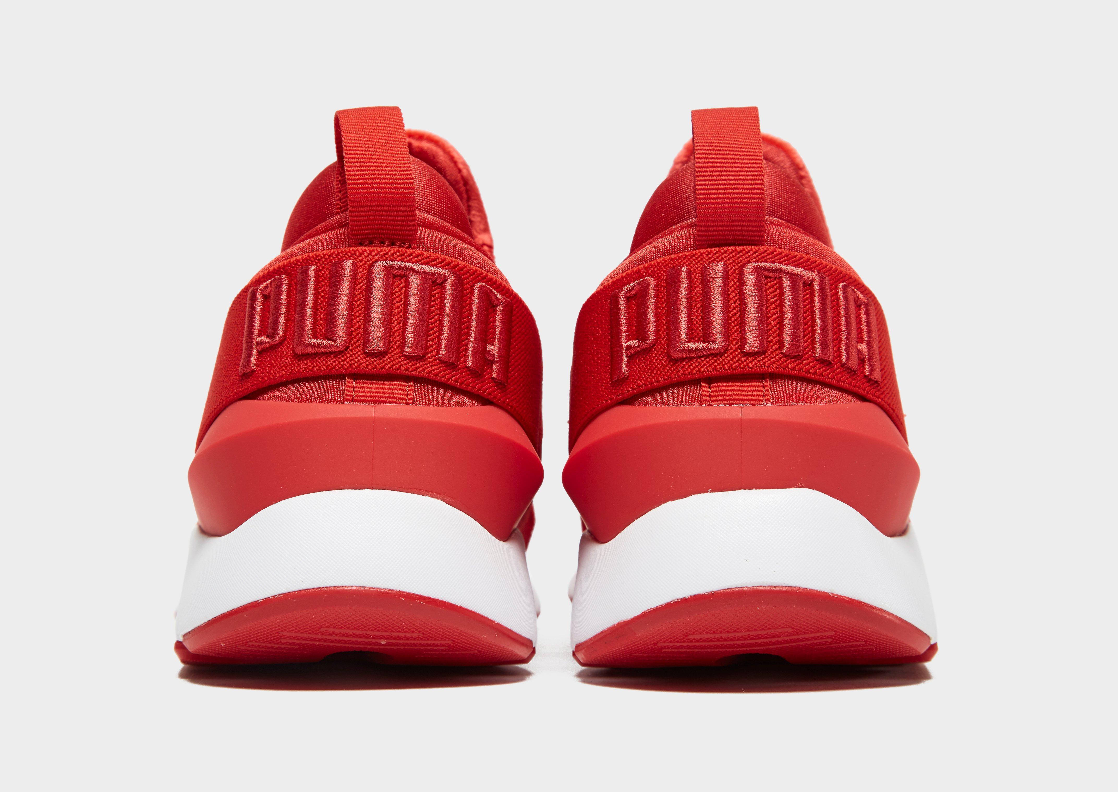 red puma muse
