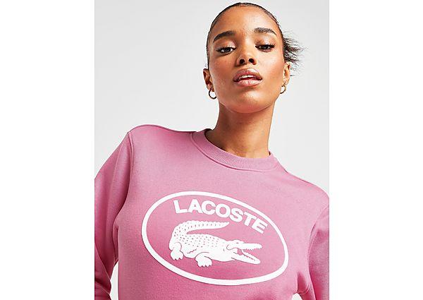 Lacoste Oval Logo Crew Sweatshirt in Pink | Lyst UK