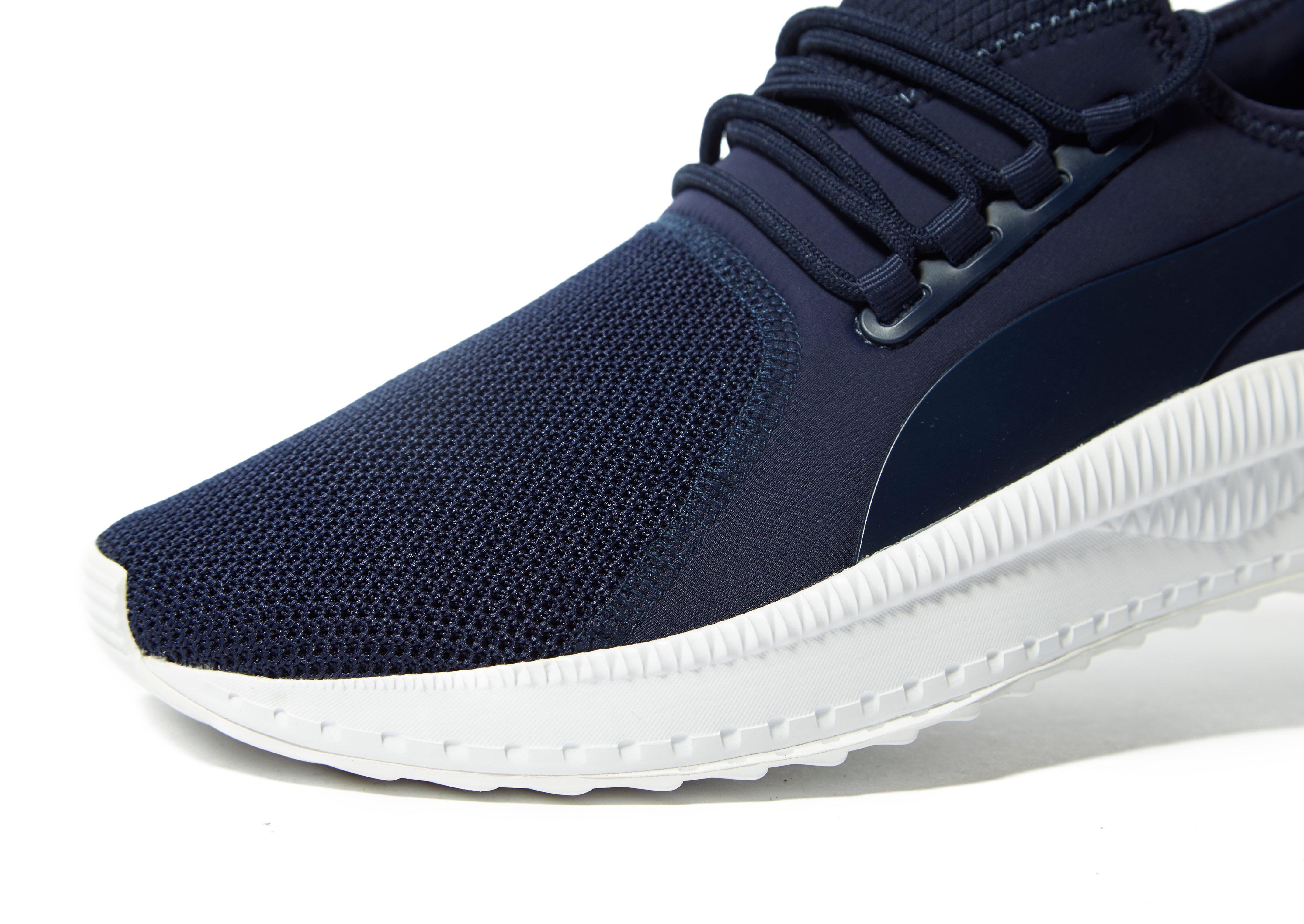 apex keds